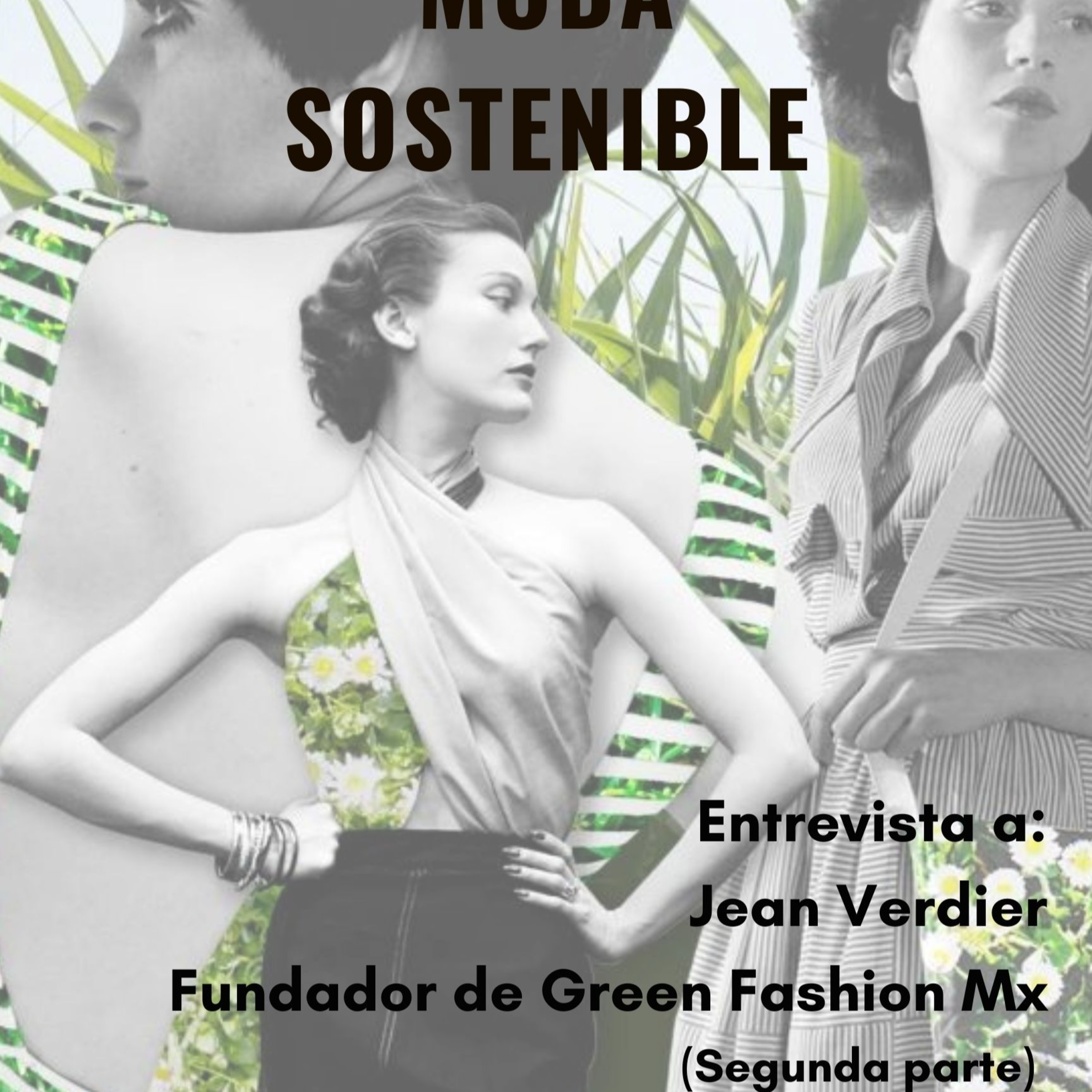 Un Tlacuache en la Ciudad