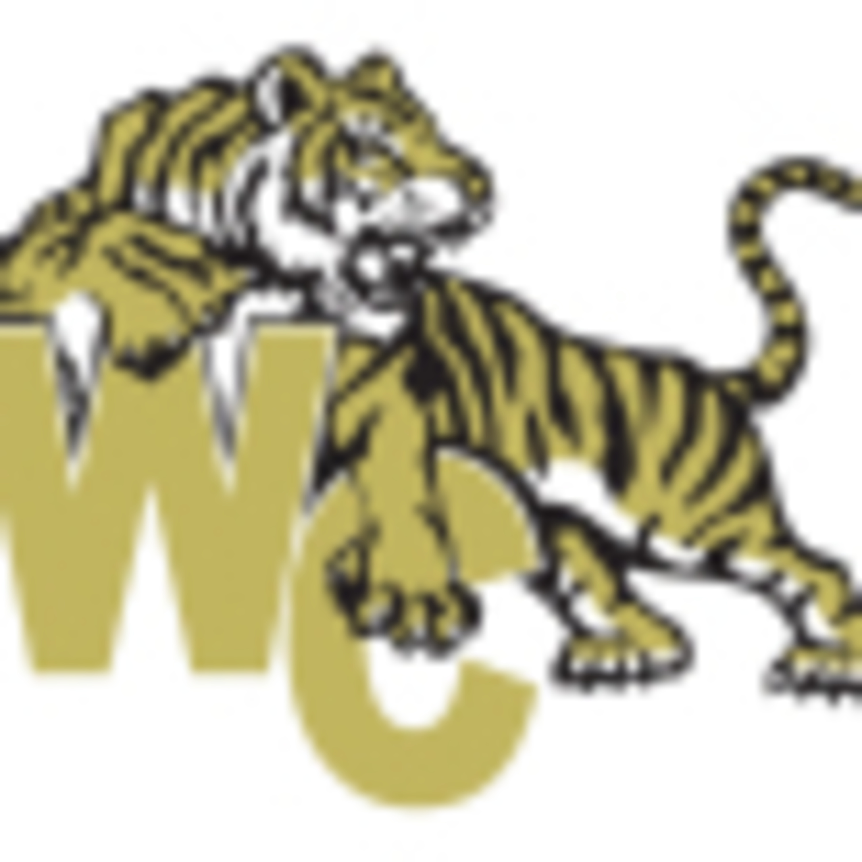 8-Man Football: Worth County Tigers  episode artwork