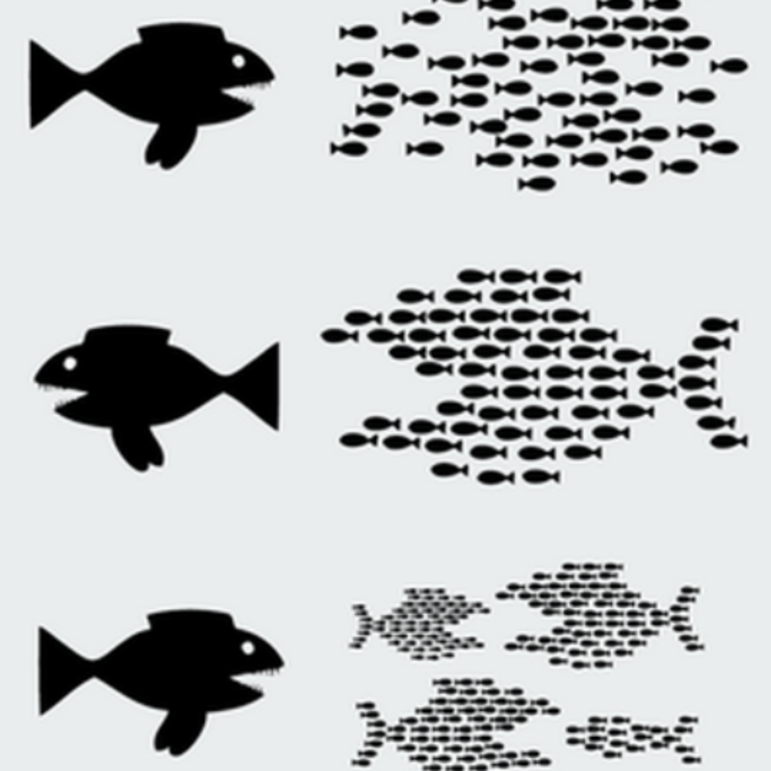 Alinternet reflections