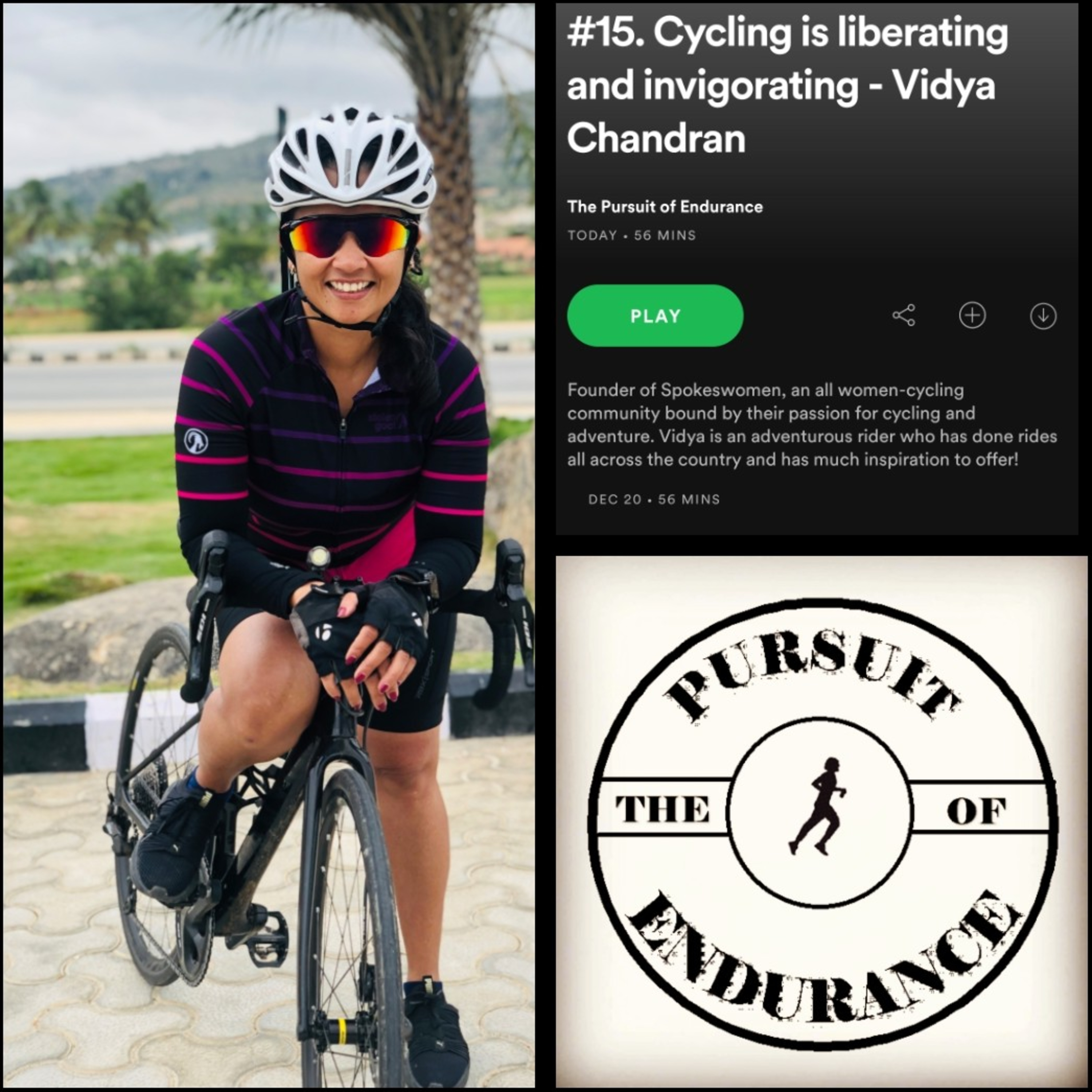 The Pursuit of Endurance