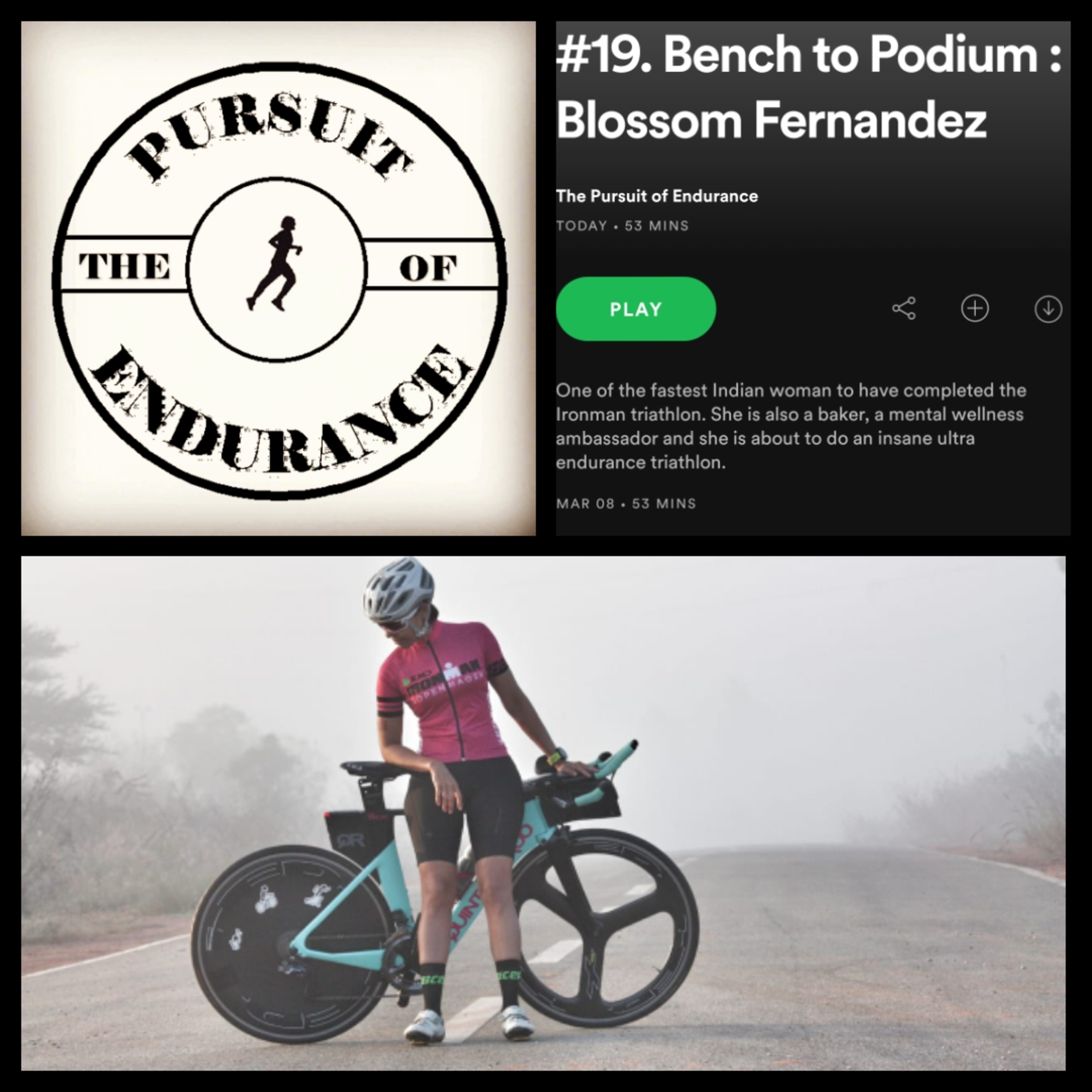 The Pursuit of Endurance