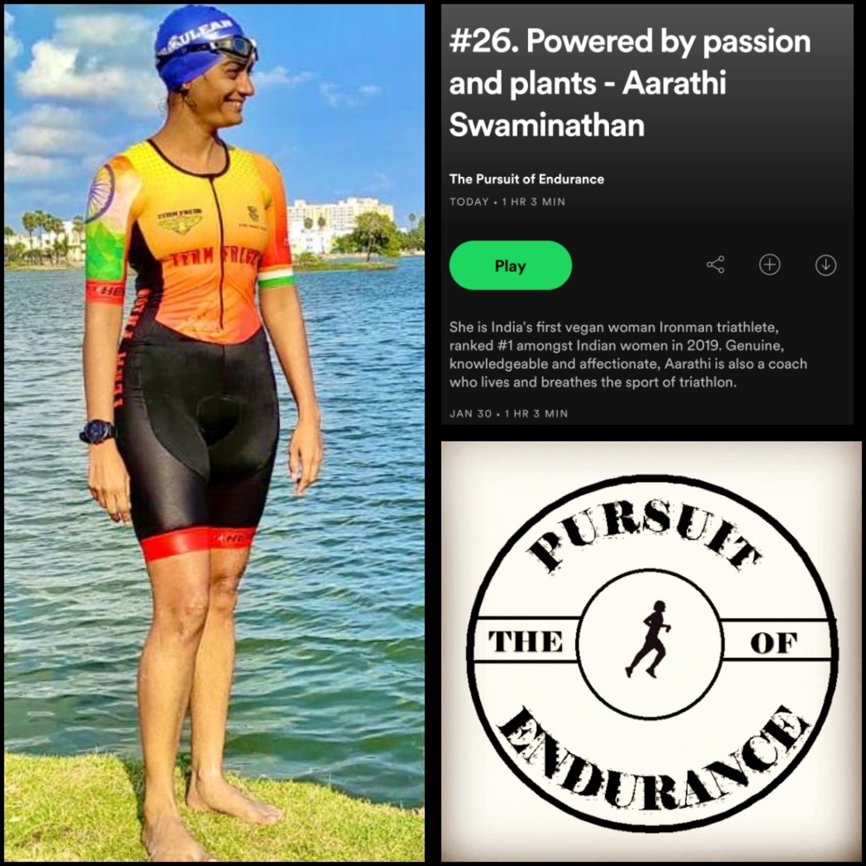 The Pursuit of Endurance