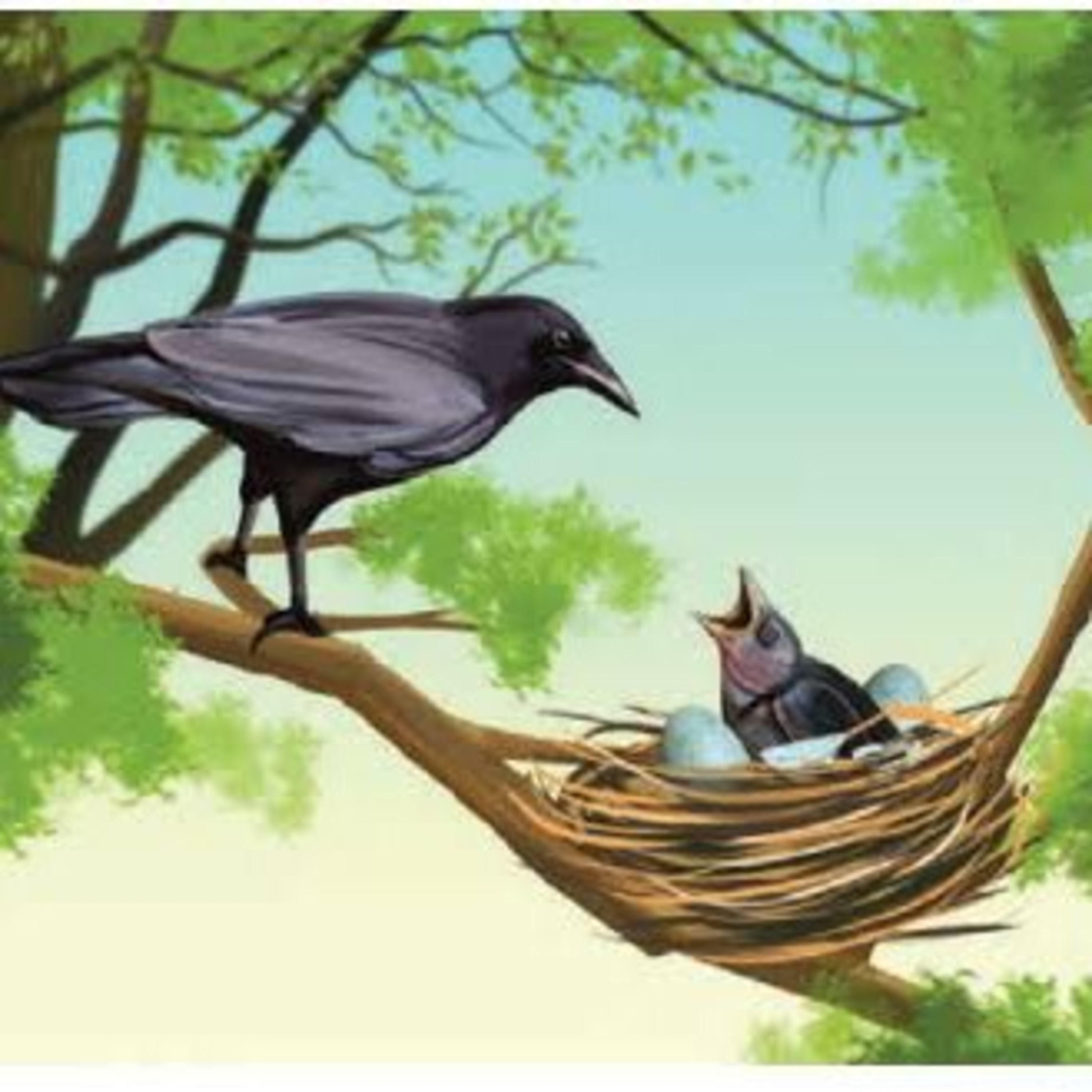 குயில் முட்டையிட காகம் கண்டு களிக்க episode artwork