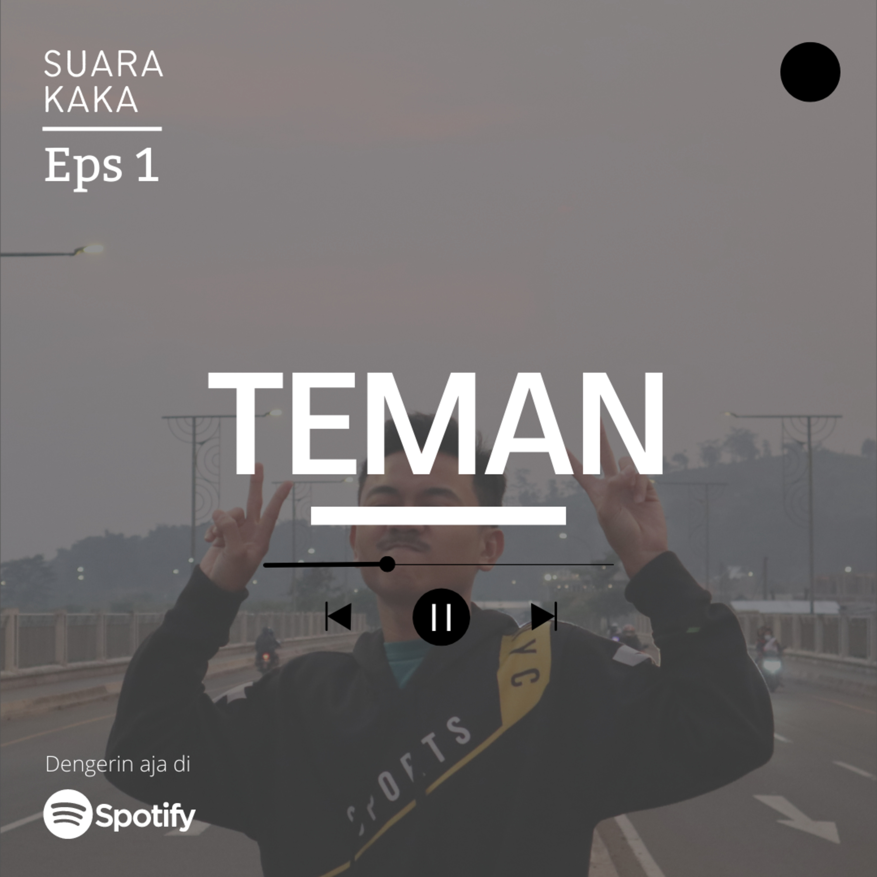 Teman episode artwork