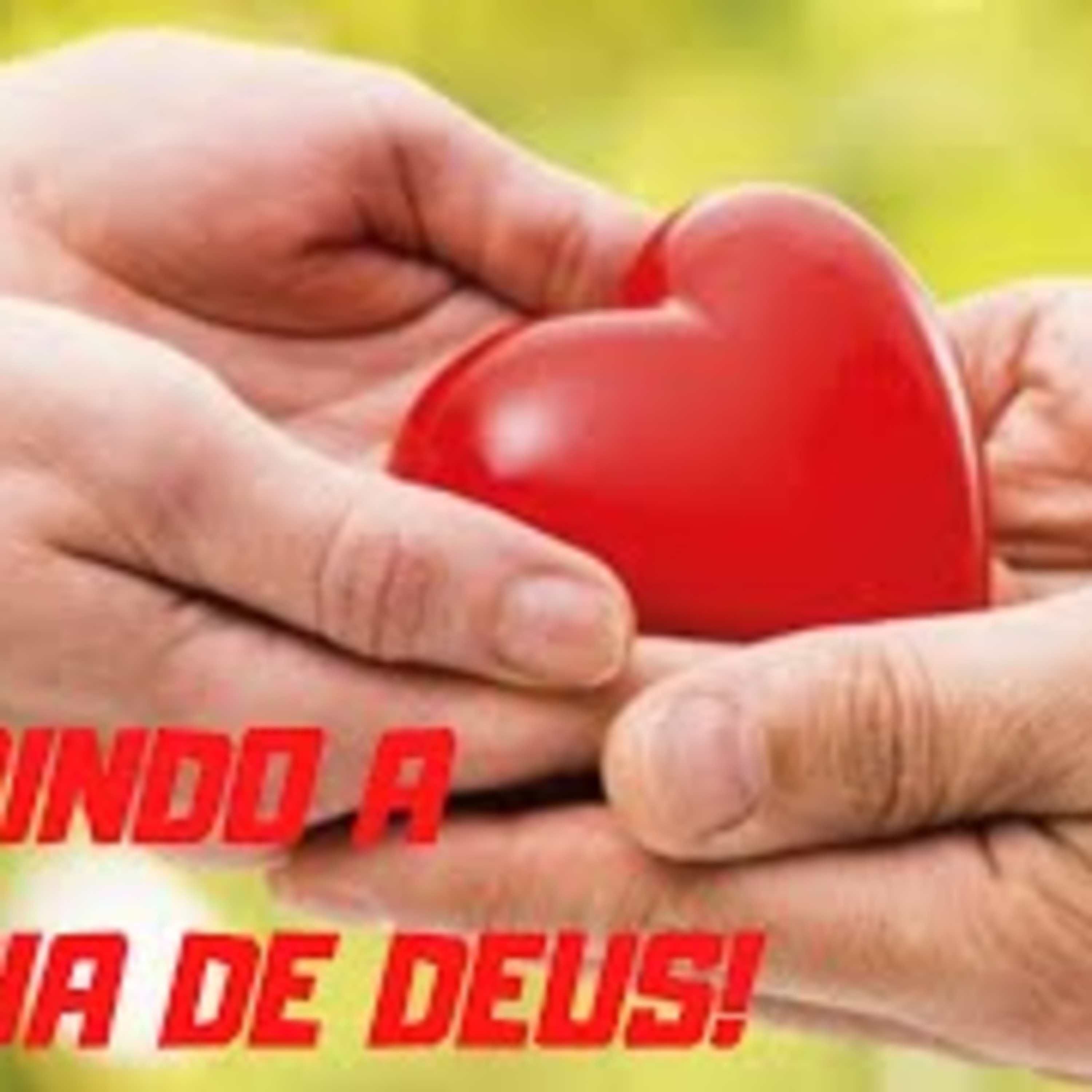 A PALAVRA RESPONDE