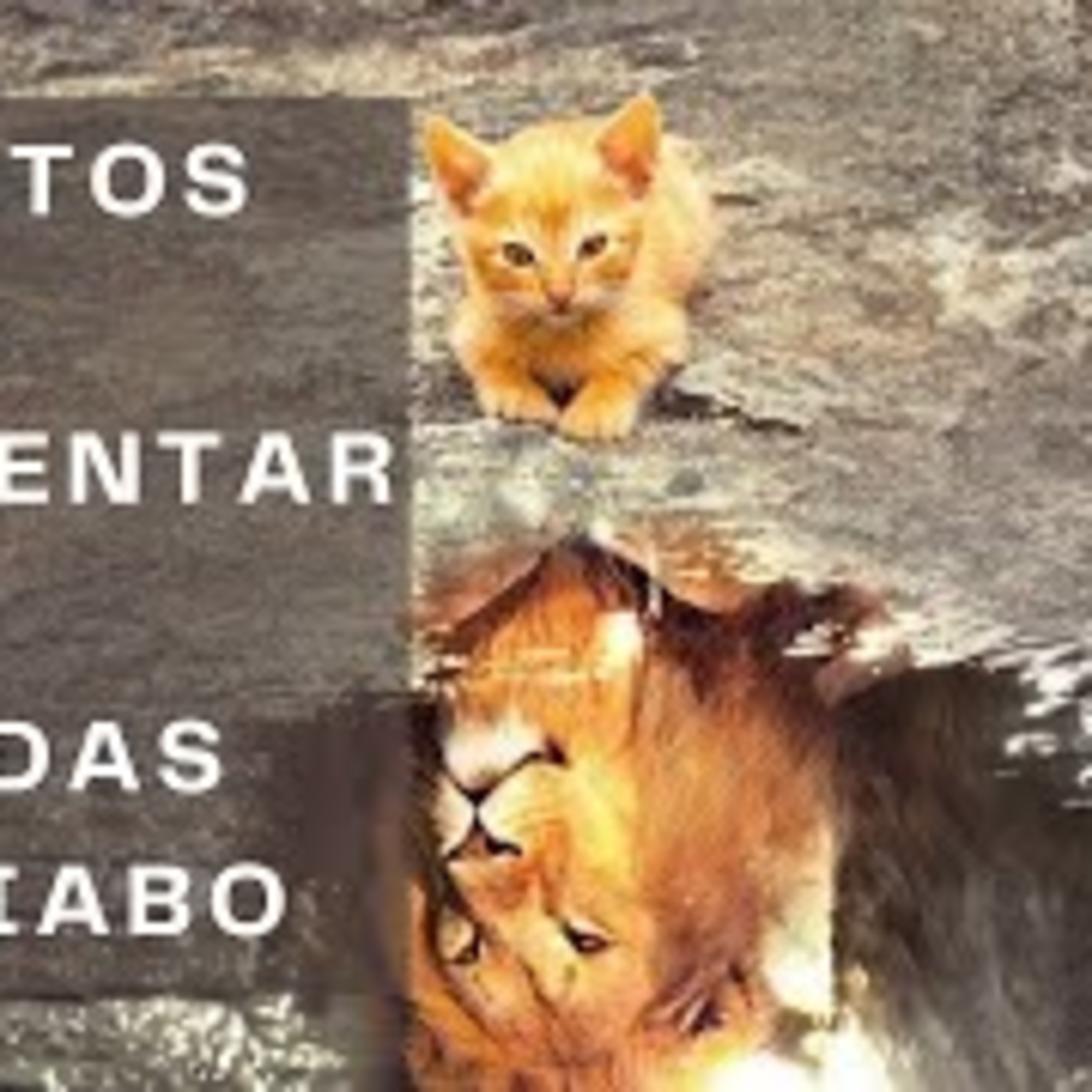 A PALAVRA RESPONDE