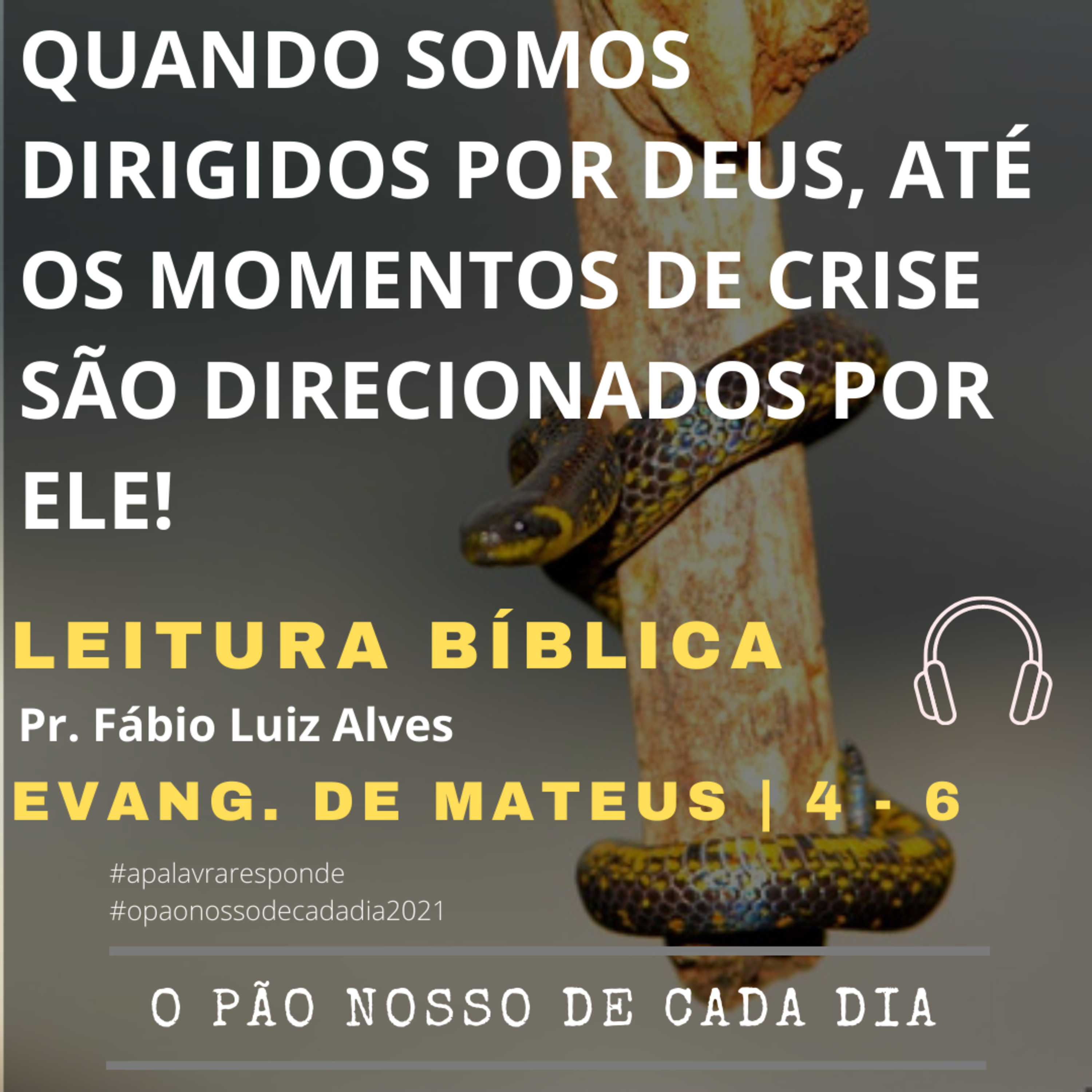 A PALAVRA RESPONDE