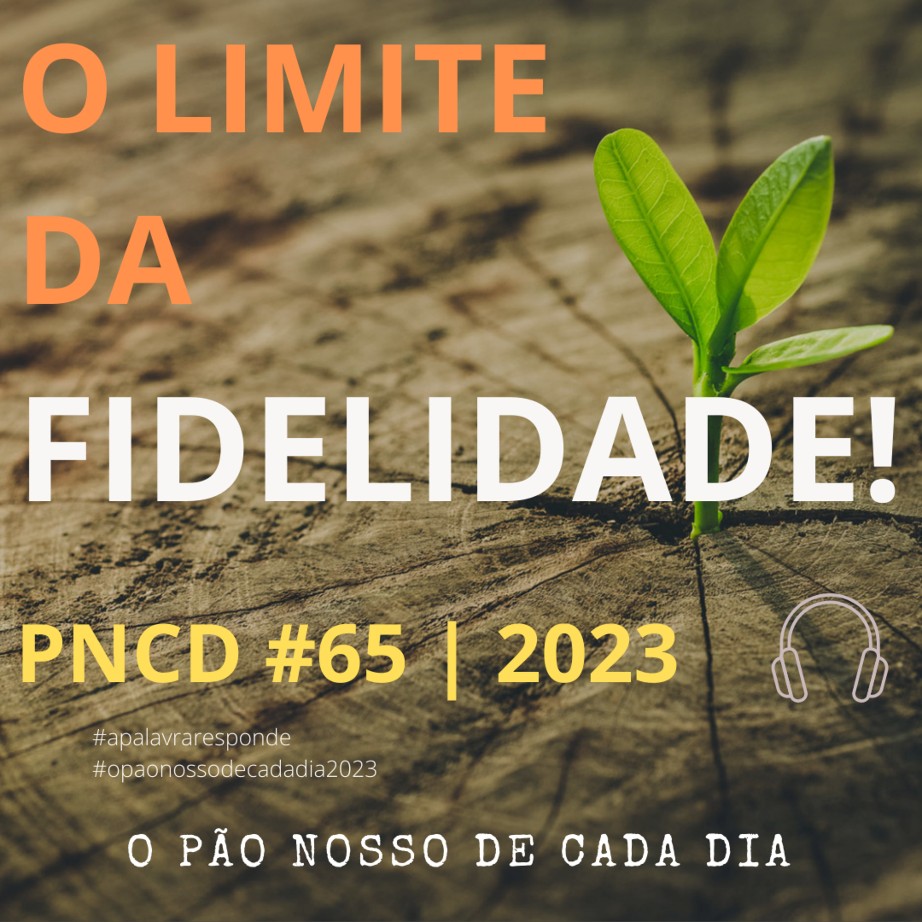 A PALAVRA RESPONDE