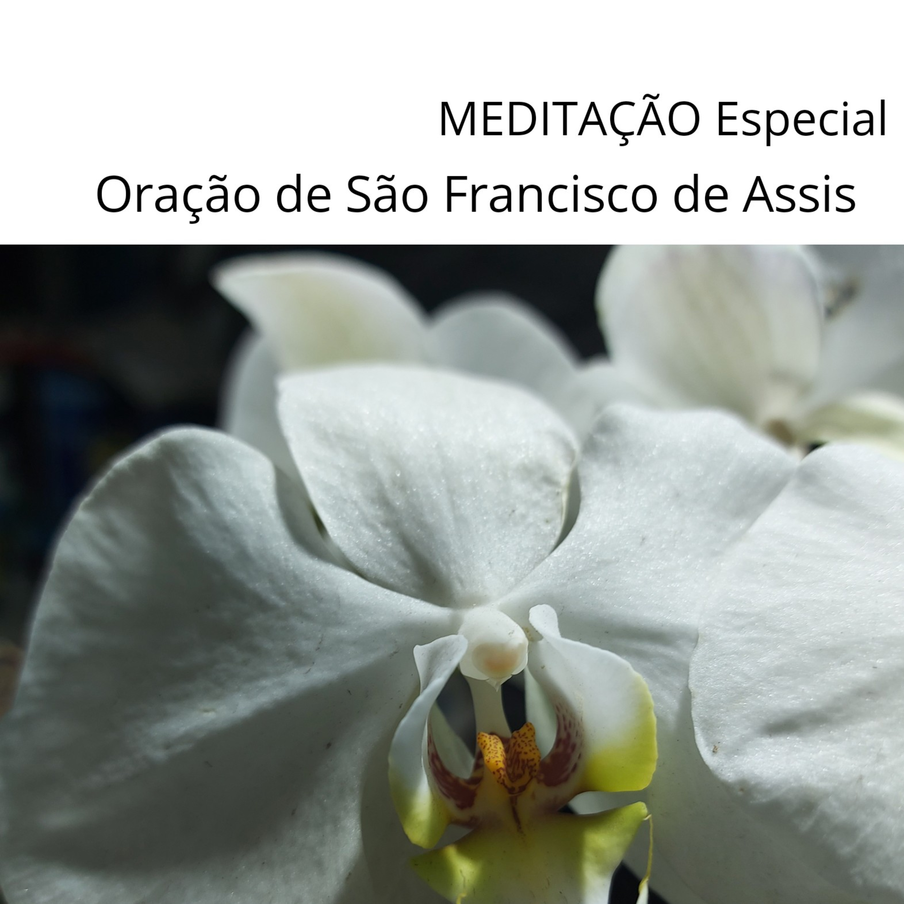 SIMONE FERNANDES YOGA E ARTE