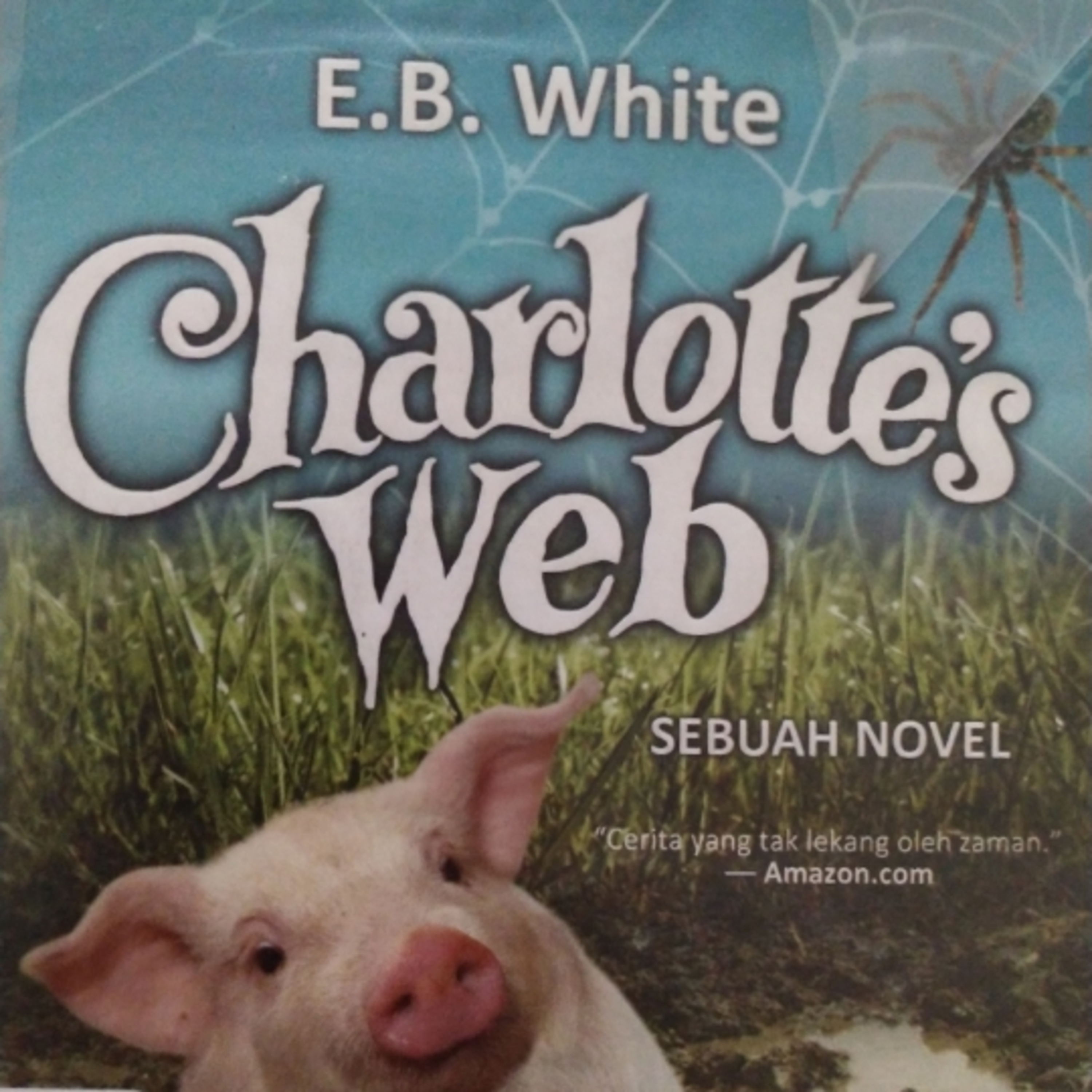 Charlotte's web bab 13 episode artwork