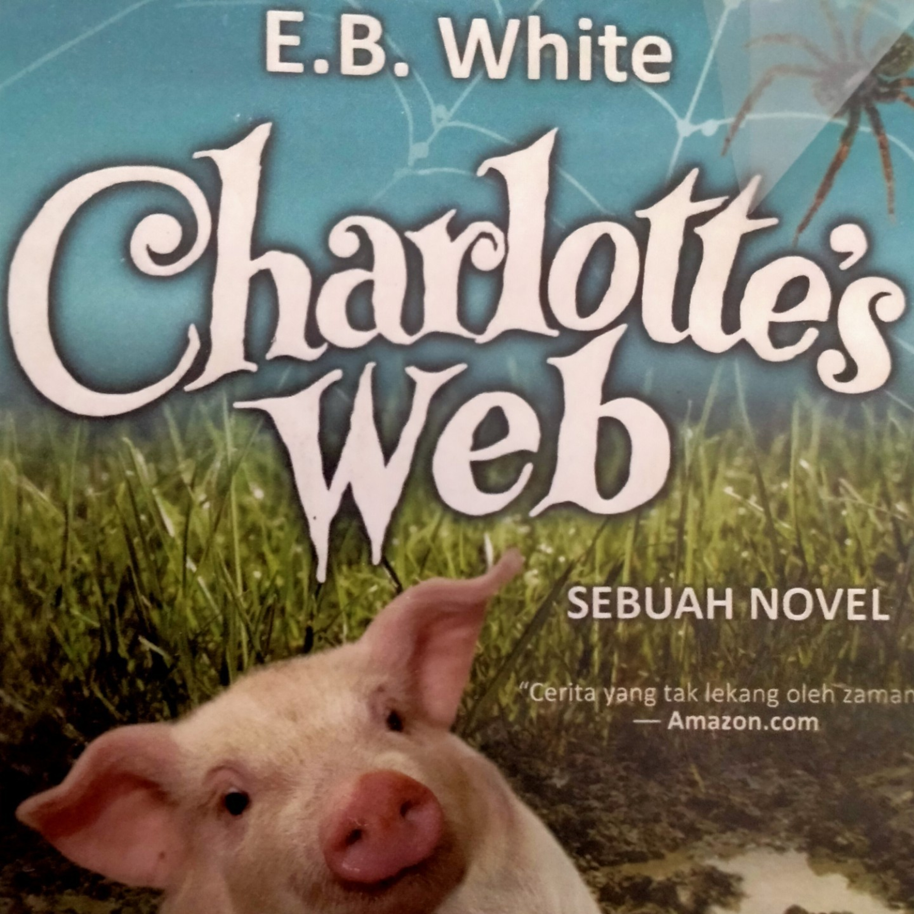Charlotte's web bab 14 episode artwork