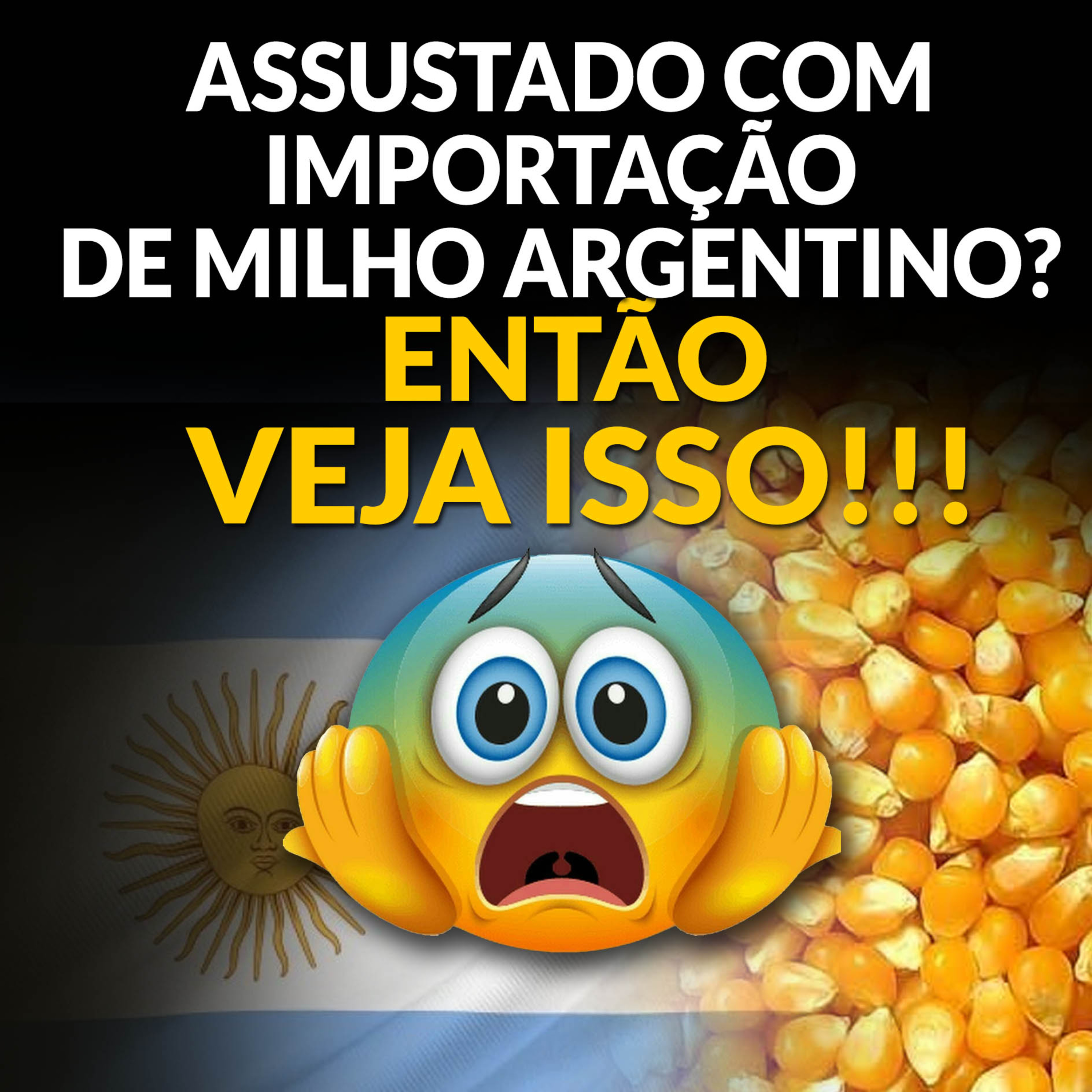 ASSUSTADO COM IMPORTAÇÃO DE MILHO ARGENTINO? ENTÃO VEJA ISSO!!!