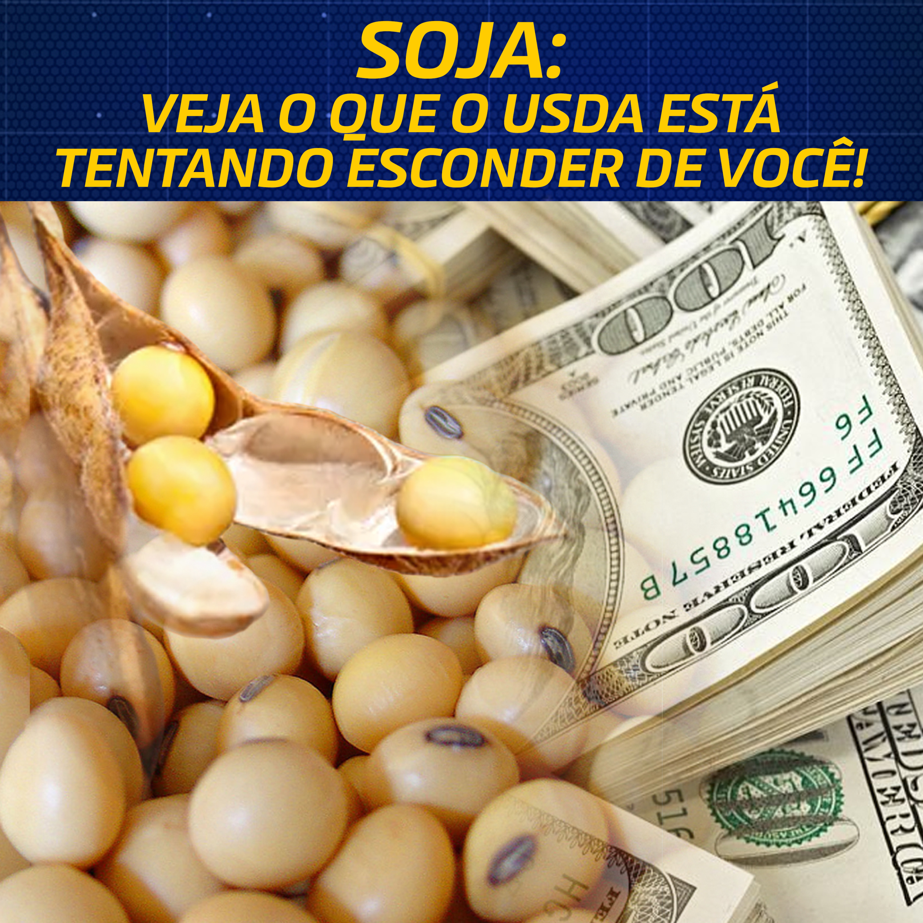 SOJA: VEJA O QUE O USDA ESTÁ TENTANDO ESCONDER DE VOCÊ!
