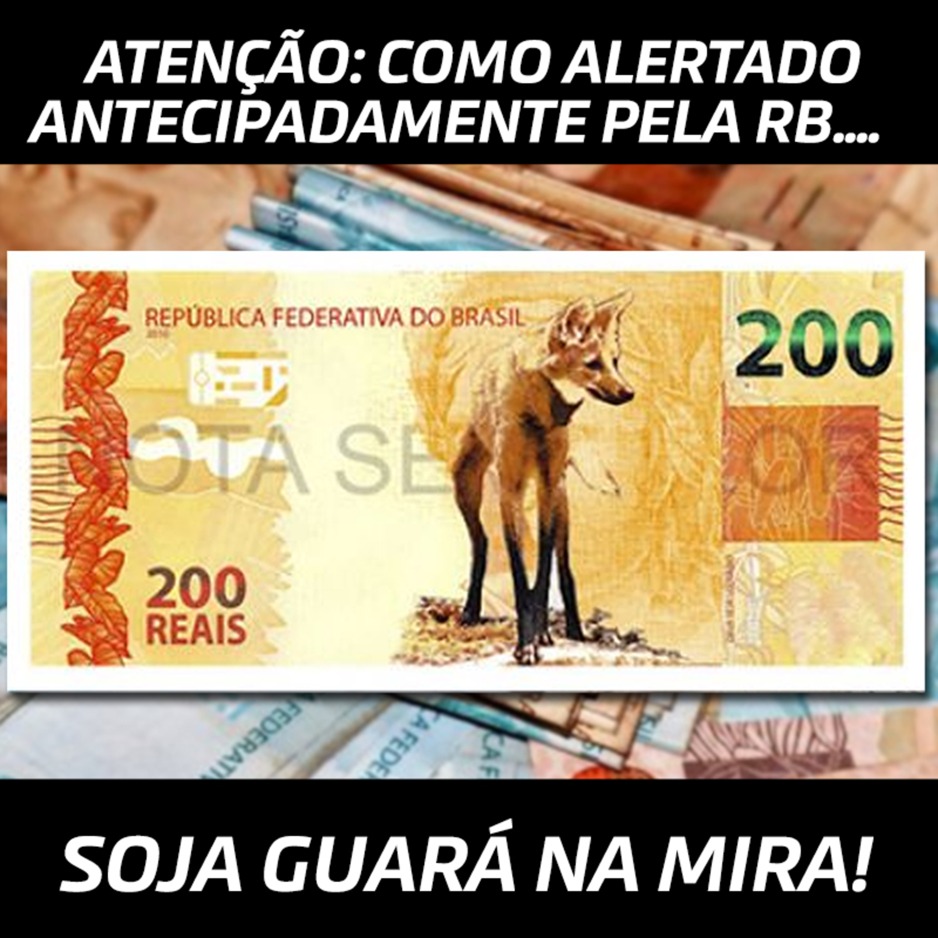 ATENÇÃO: COMO ALERTADO ANTECIPADAMENTE PELA RB... SOJA GUARÁ NA MIRA! episode artwork