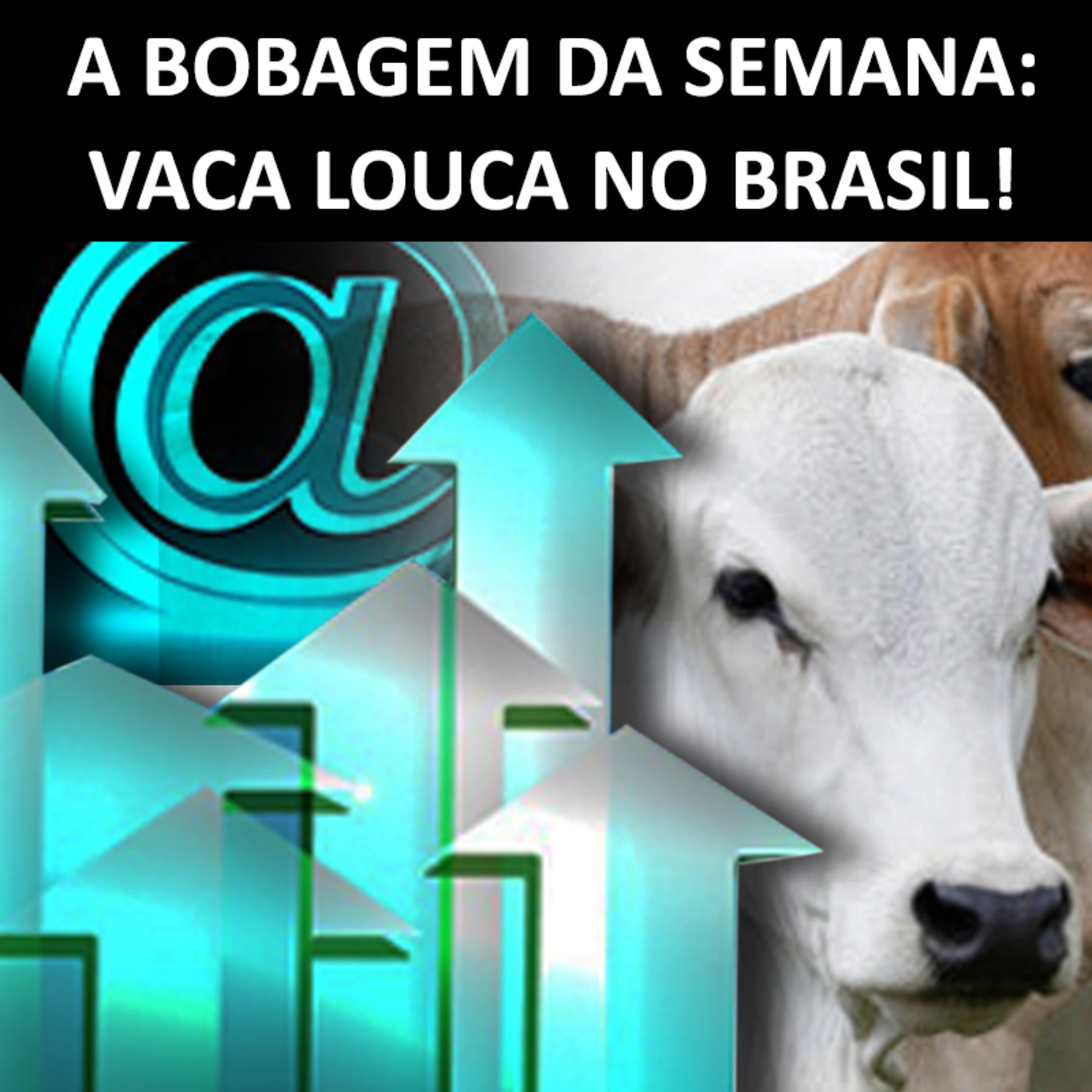 A BOBAGEM DA SEMANA: VACA LOUCA NO BRASIL! episode artwork