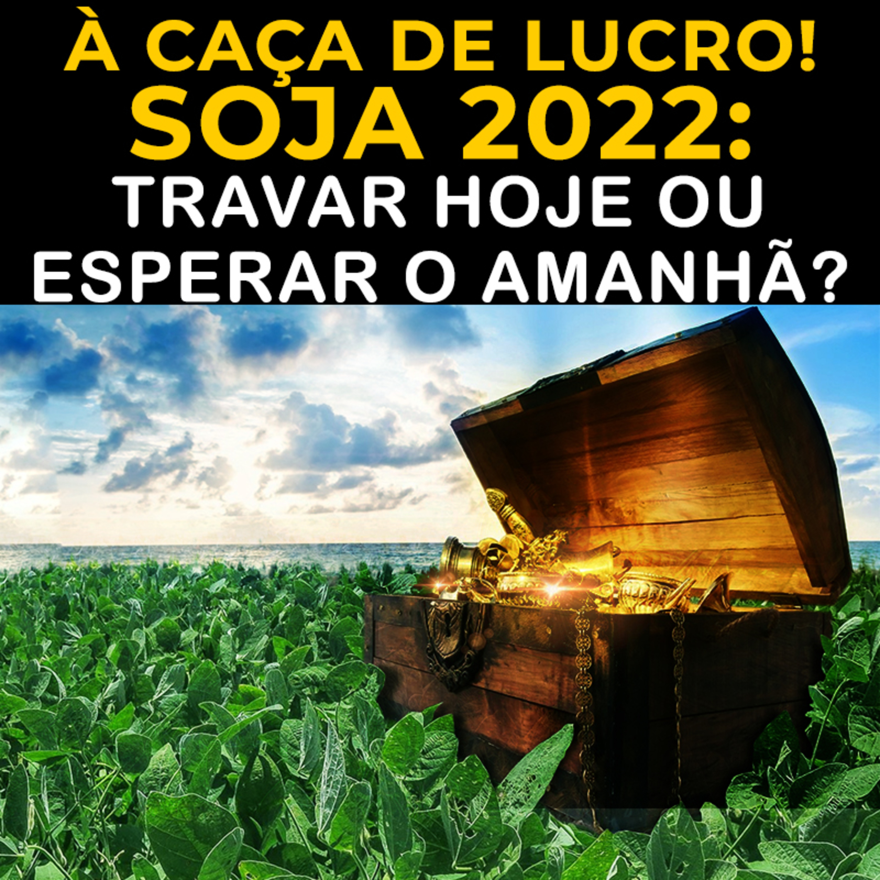 À CAÇA DE LUCRO! SOJA 2022: TRAVAR HOJE OU ESPERAR O AMANHÃ? episode artwork