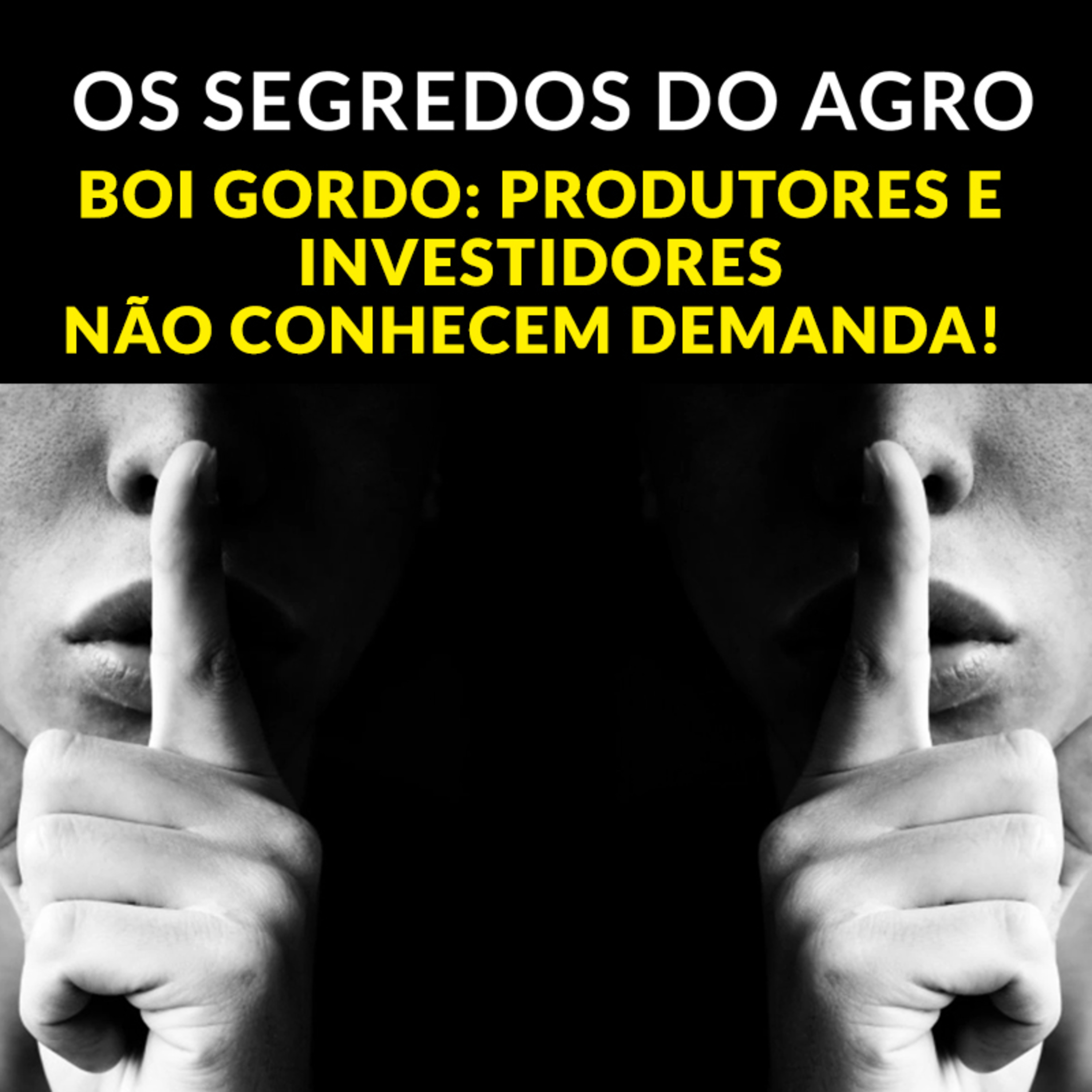 BOI GORDO: PRODUTORES E INVESTIDORES NÃO CONHECEM DEMANDA! episode artwork