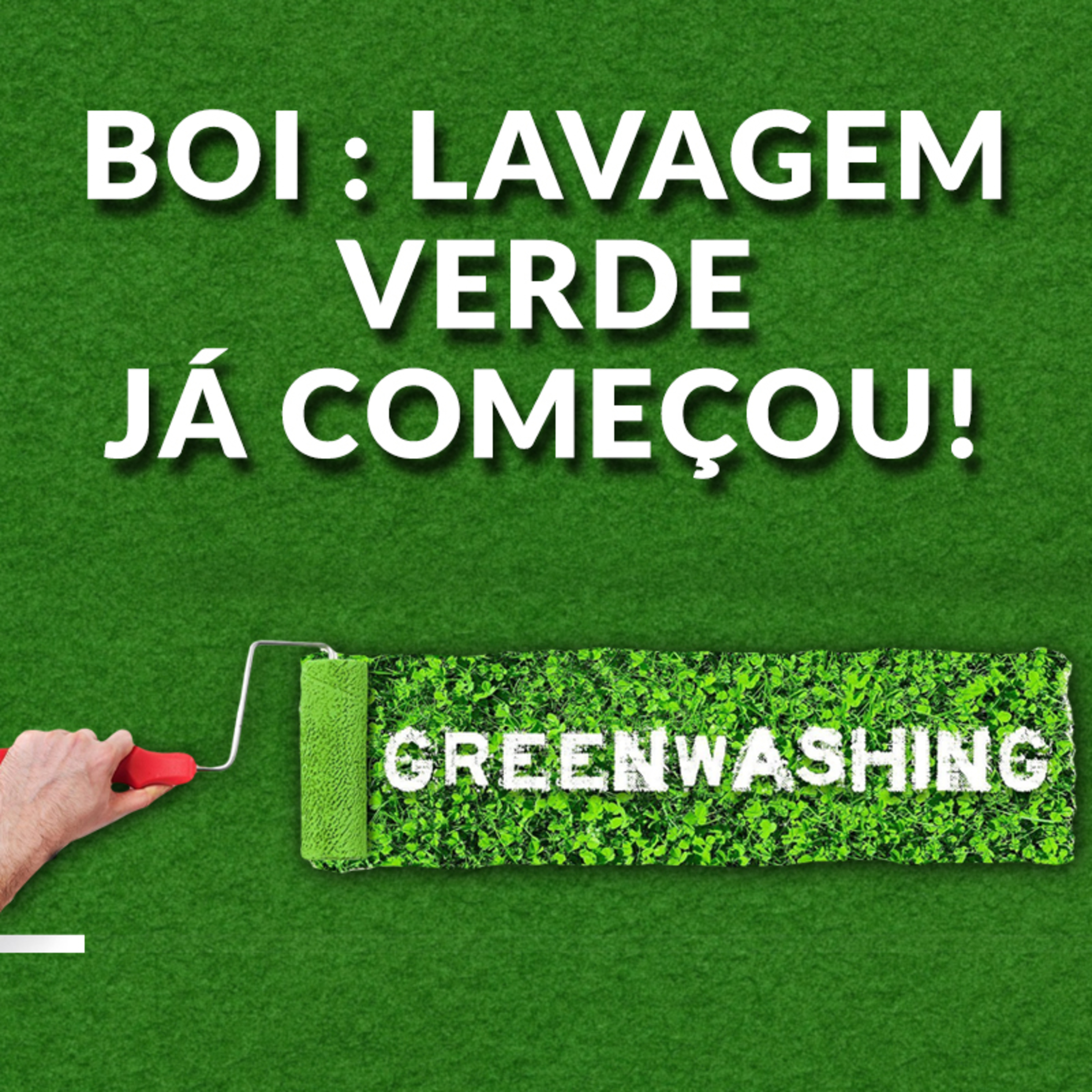 BOI : LAVAGEM VERDE JÁ COMEÇOU! episode artwork