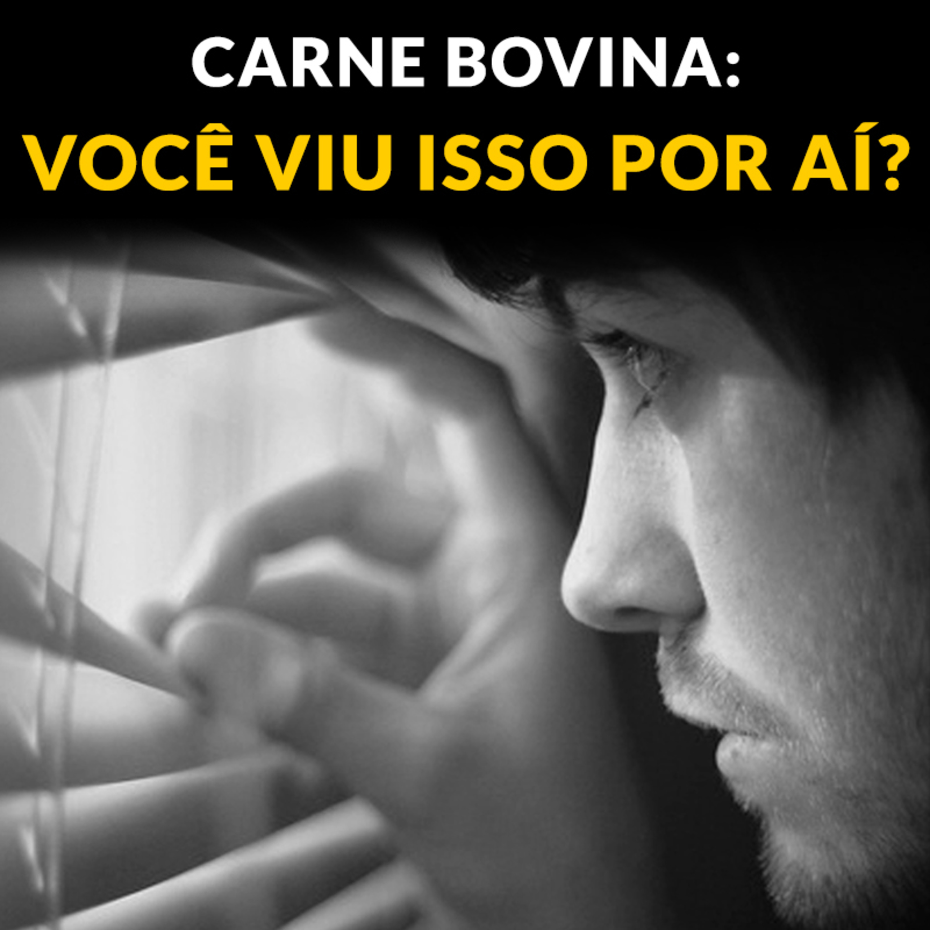 CARNE BOVINA: VOCÊ VIU ISSO POR AÍ? episode artwork