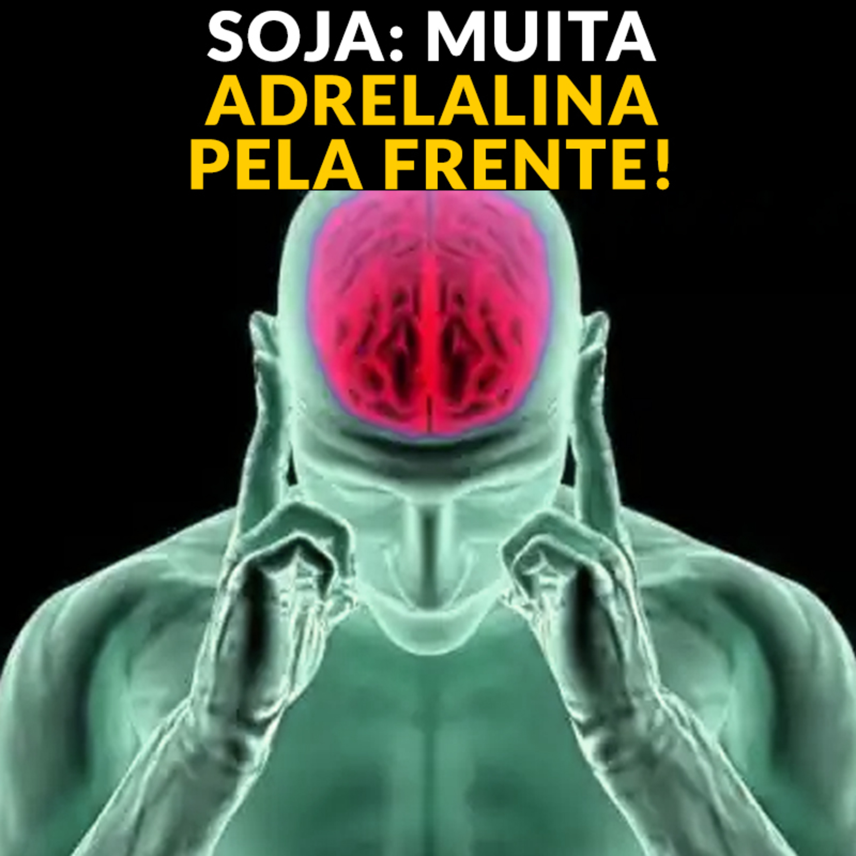 SOJA: MUITA ADRENALINA PELA FRENTE! episode artwork
