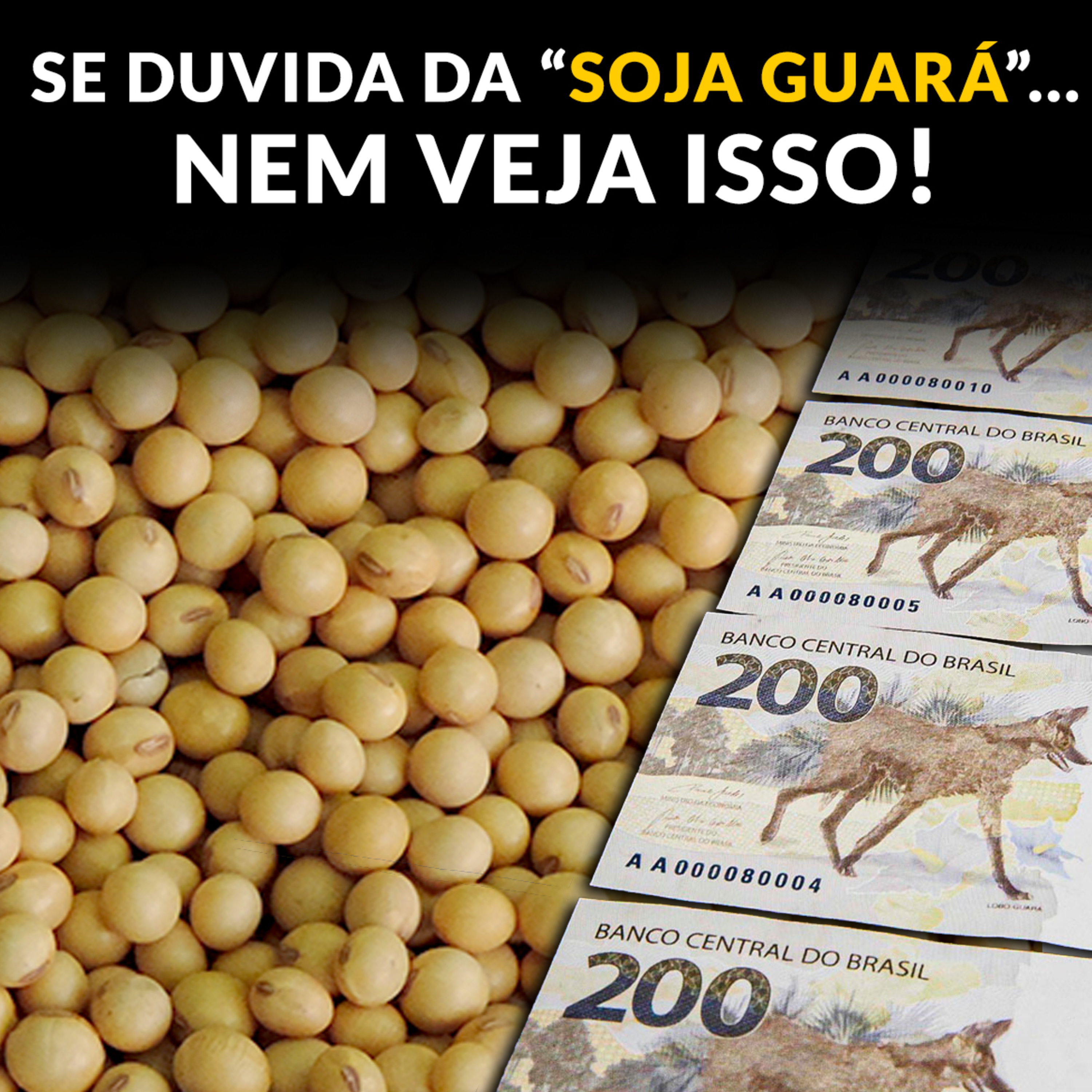 SE DUVIDA DA “SOJA GUARÁ”... NEM VEJA ISSO! episode artwork