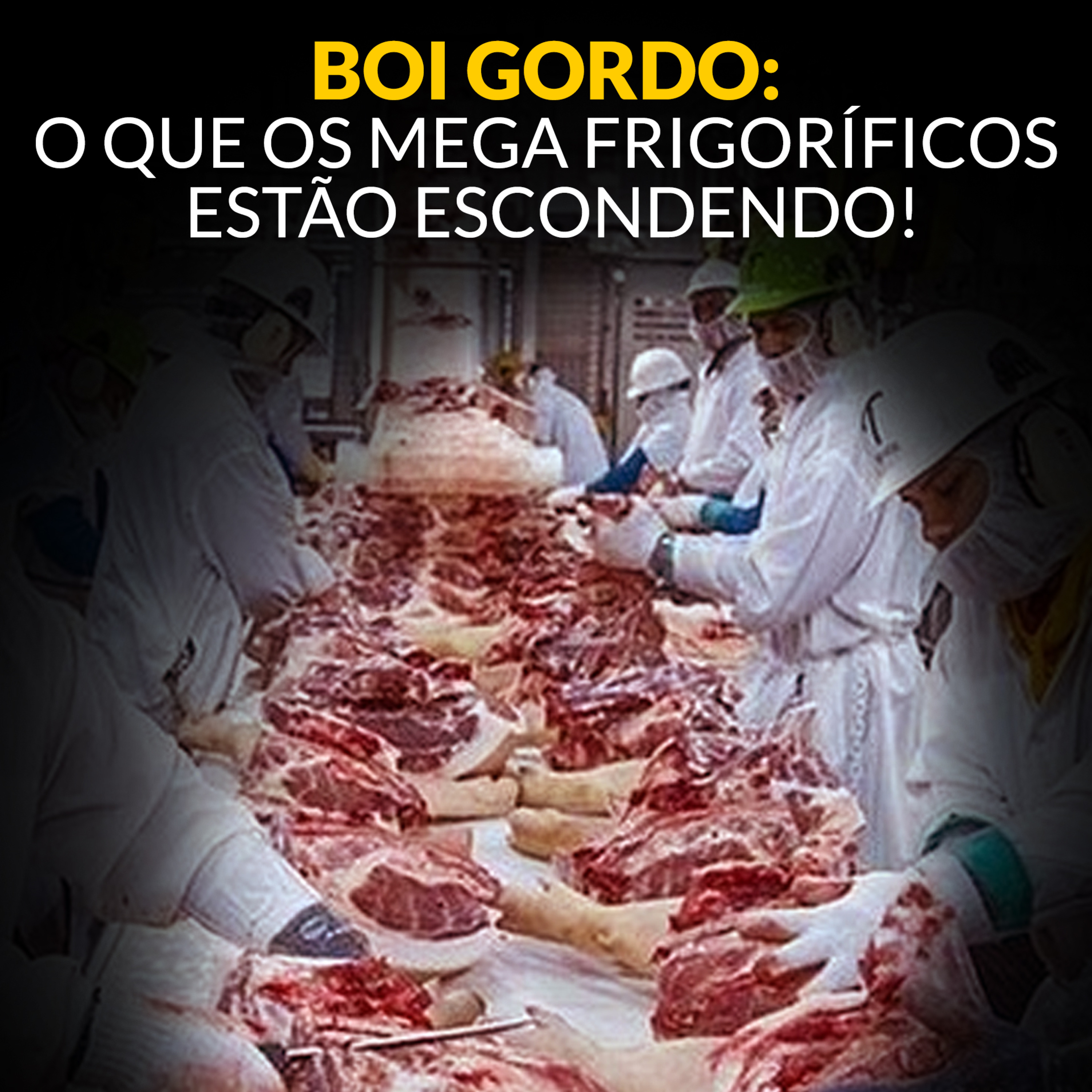 BOI GORDO: O QUE OS MEGA FRIGORÍFICOS ESTÃO ESCONDENDO!