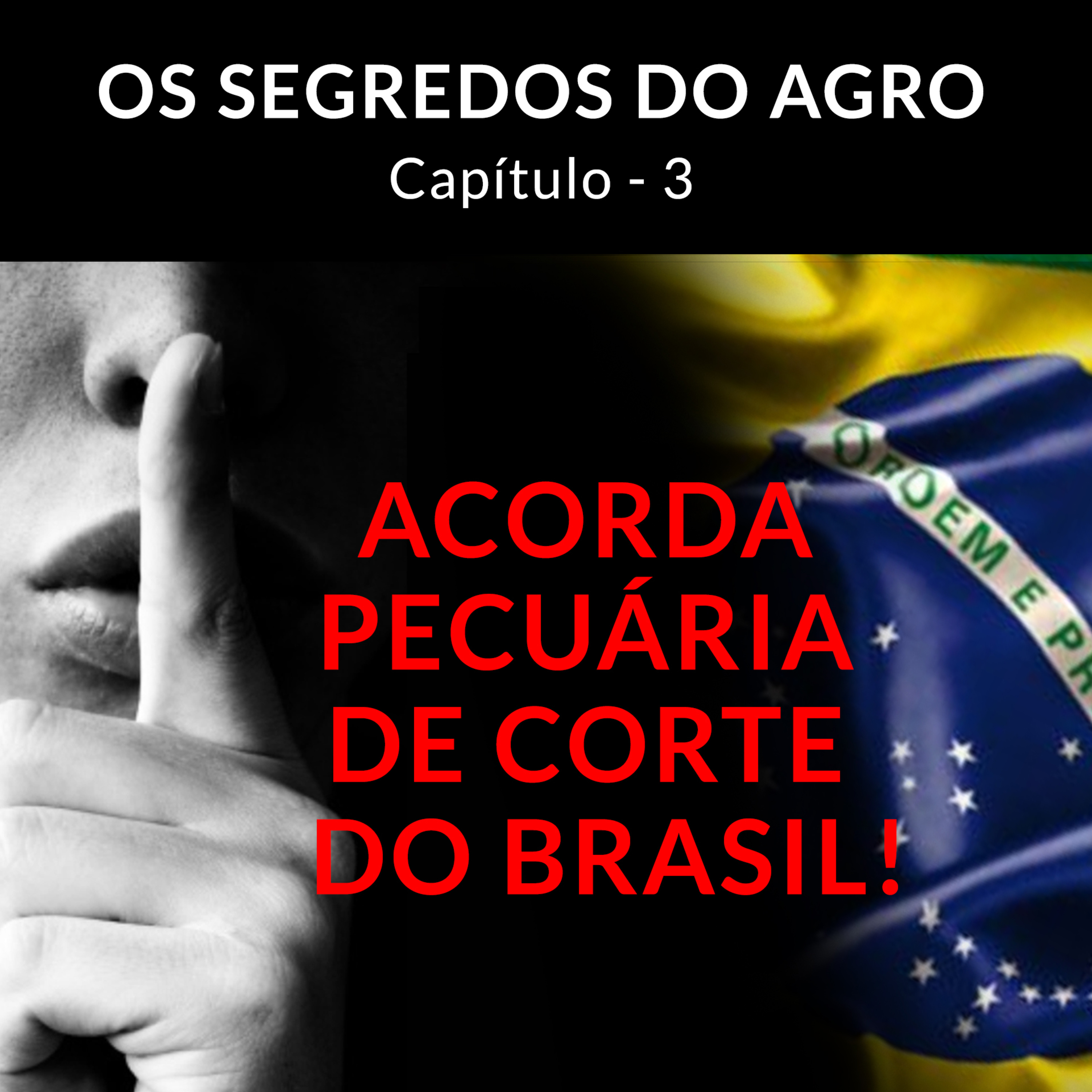 OS SEGREDOS DO AGRO 3º CAPÍTULO - ACORDA PECUÁRIA DE CORTE DO BRASIL! episode artwork