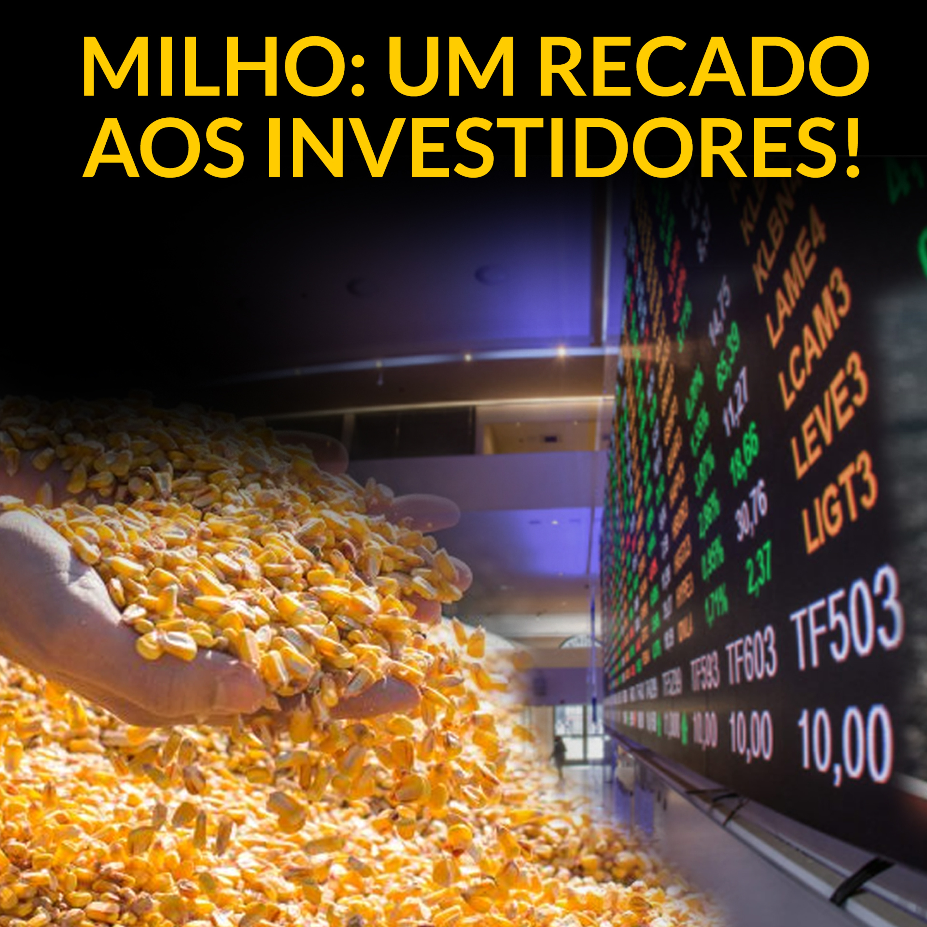 MILHO: UM RECADO AOS INVESTIDORES! episode artwork