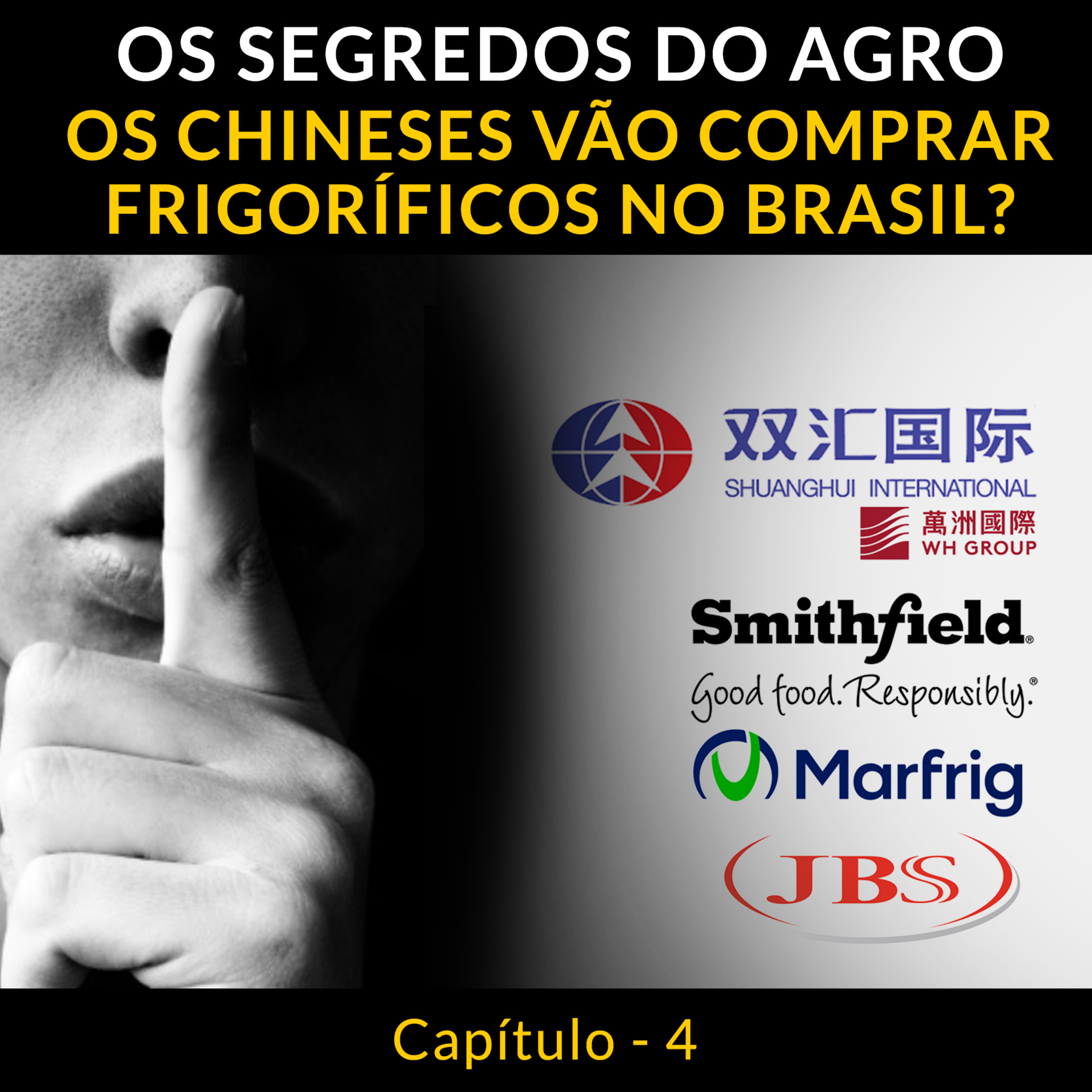OS SEGREDOS DO AGRO: Capítulo 4 - OS CHINESES VÃO COMPRAR FRIGORÍFICOS NO BRASIL? episode artwork