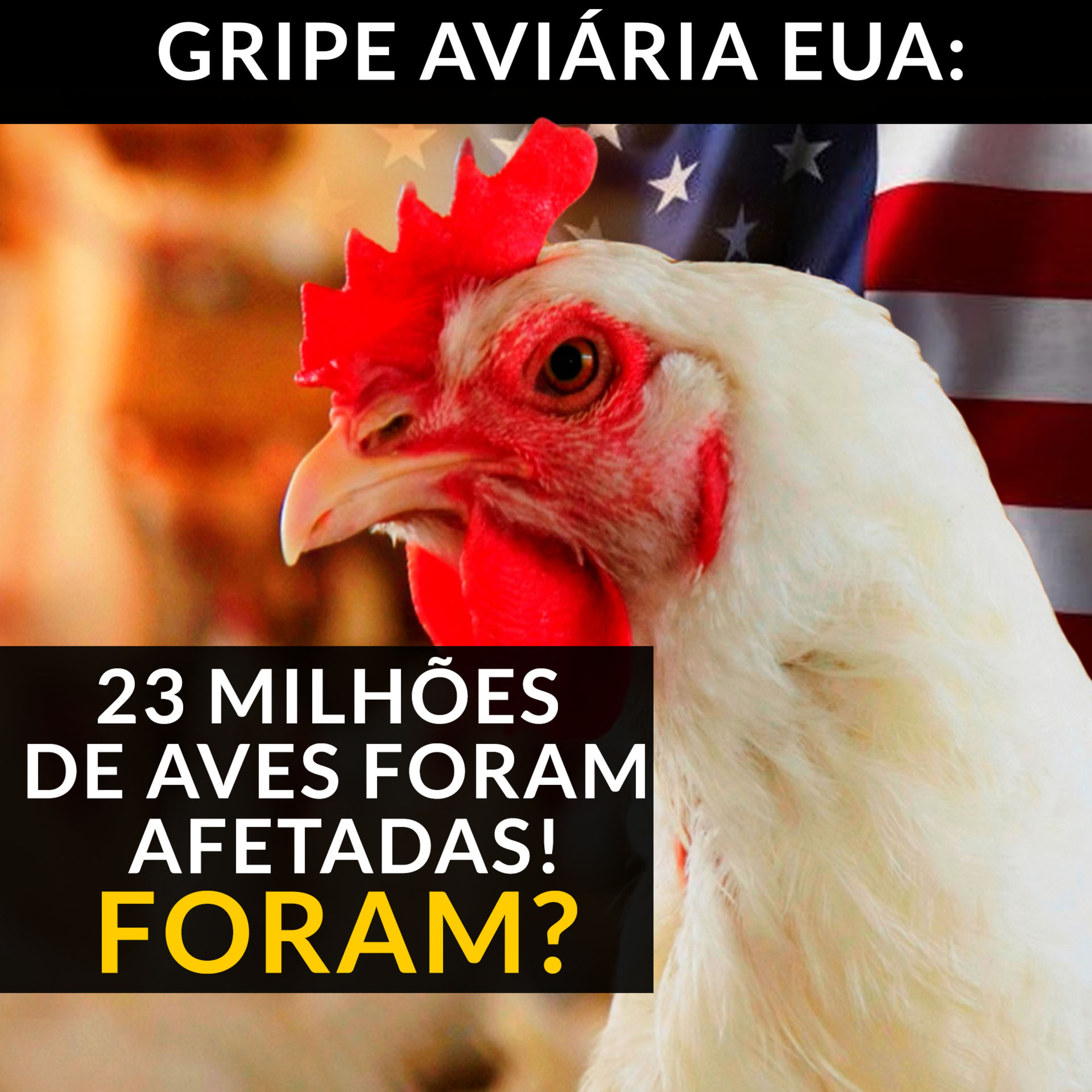 GRIPE AVIÁRIA EUA: 23 MILHÕES DE AVES FORAM AFETADAS! FORAM? episode artwork