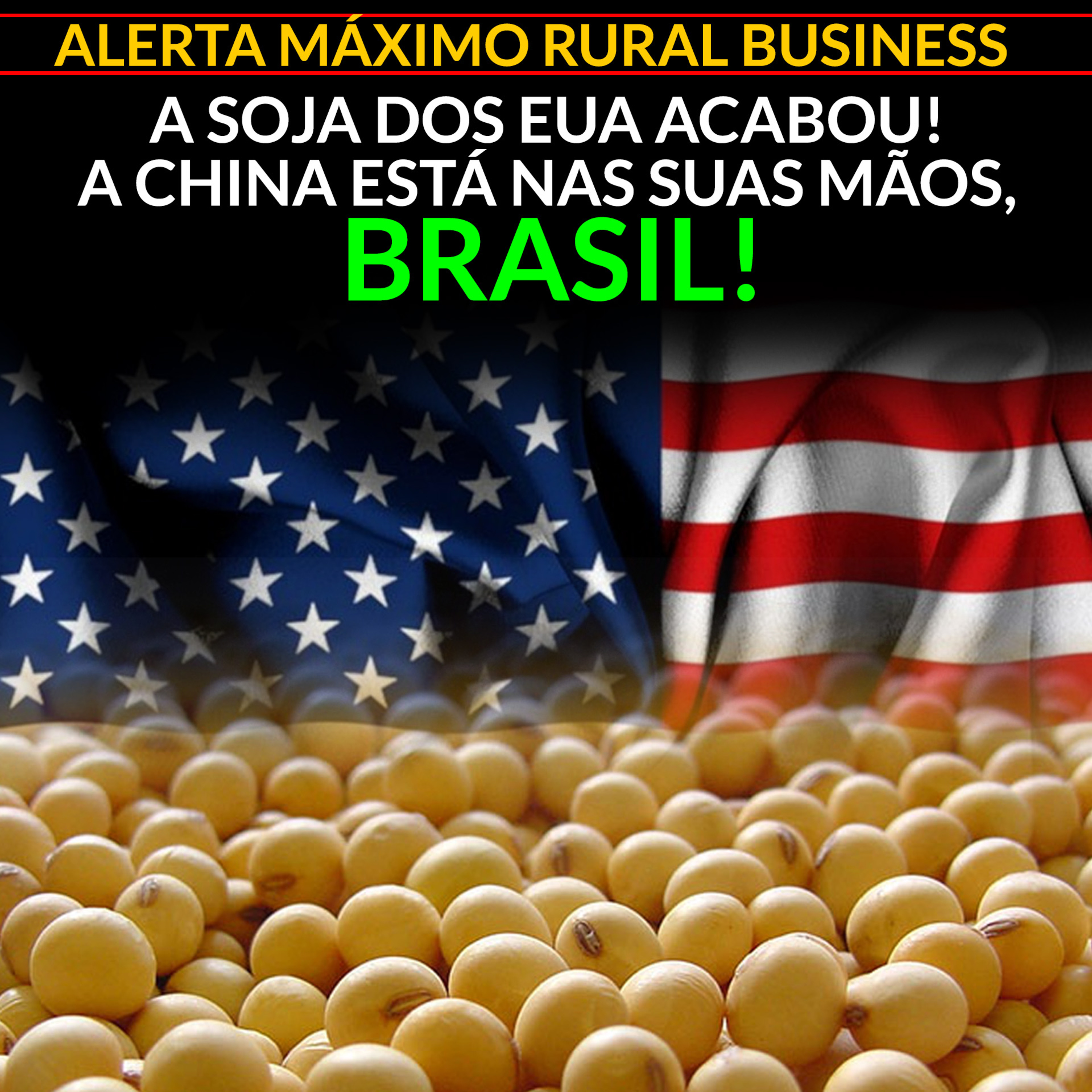 ALERTA MÁXIMO RURAL BUSINESS: A SOJA DOS EUA ACABOU! A CHINA ESTÁ NAS SUAS MÃOS, BRASIL! episode artwork