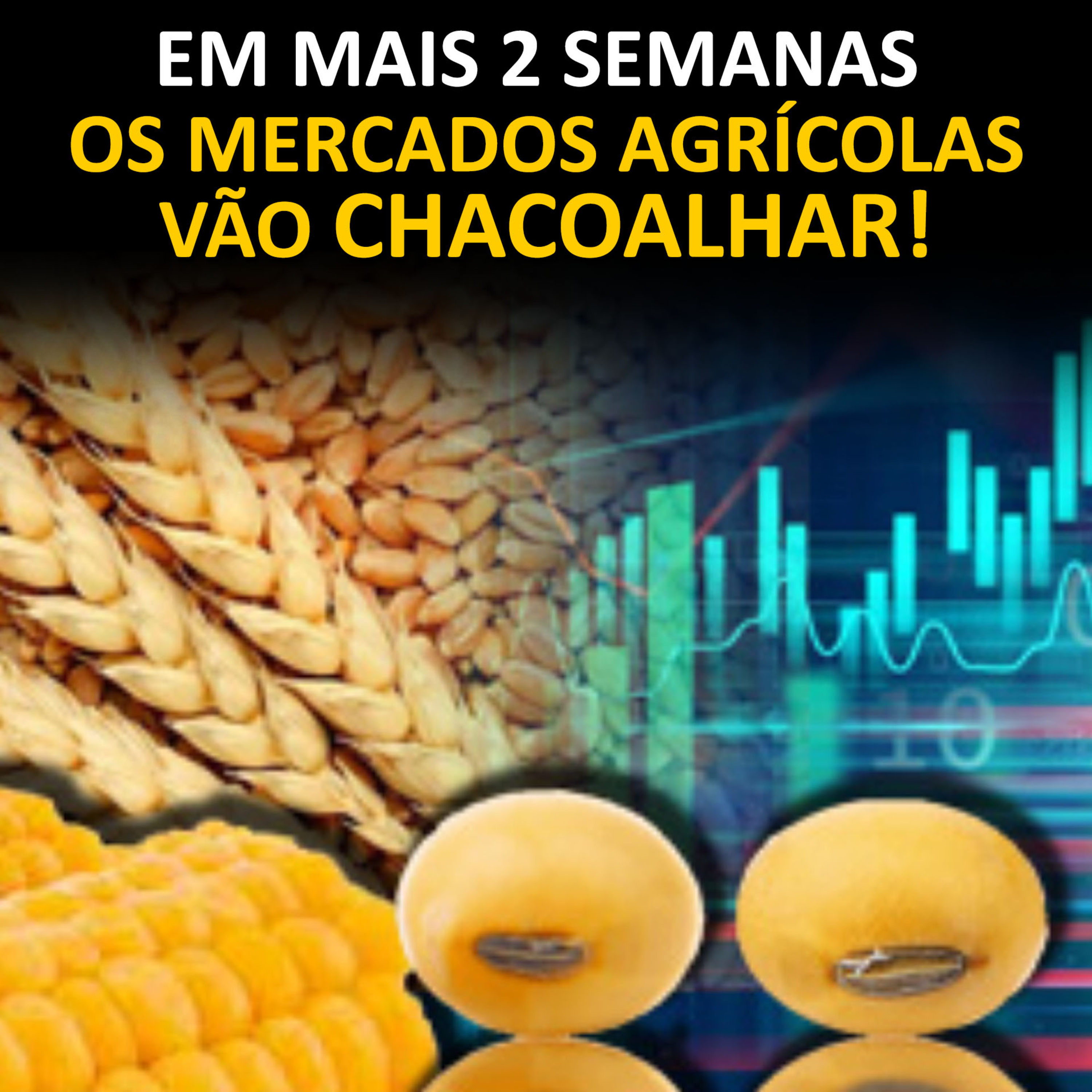 EM MAIS 2 SEMANAS OS MERCADOS AGRÍCOLAS VÃO CHACOALHAR!