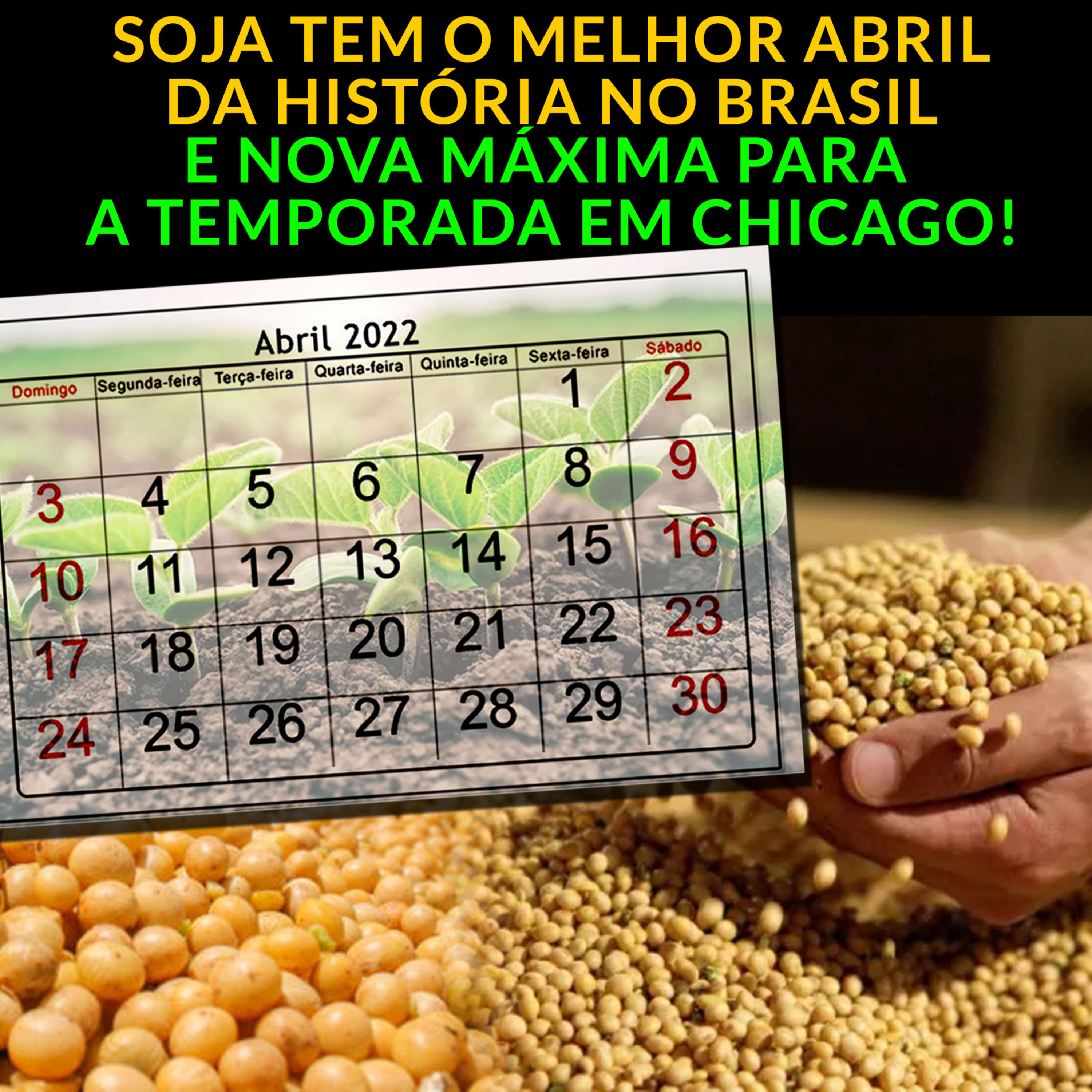 SOJA TEM O MELHOR ABRIL DA HISTÓRIA NO BRASIL E NOVA MÁXIMA PARA A TEMPORADA EM CHICAGO! episode artwork