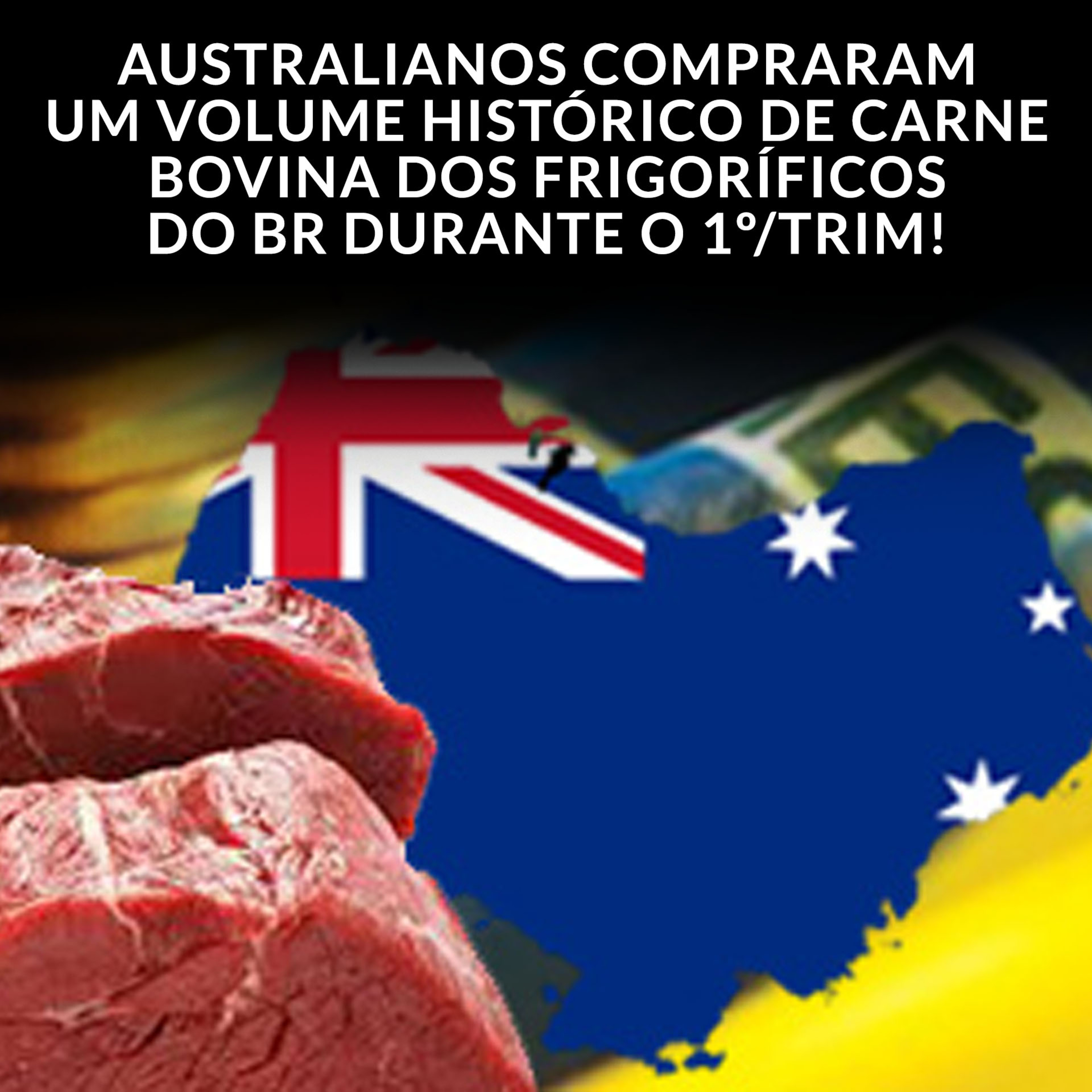 AUSTRALIANOS COMPRARAM UM VOLUME HISTÓRICO DE CARNE BOVINA DOS FRIGORÍFICOS DO BR DURANTE O 1º/TRIM! episode artwork