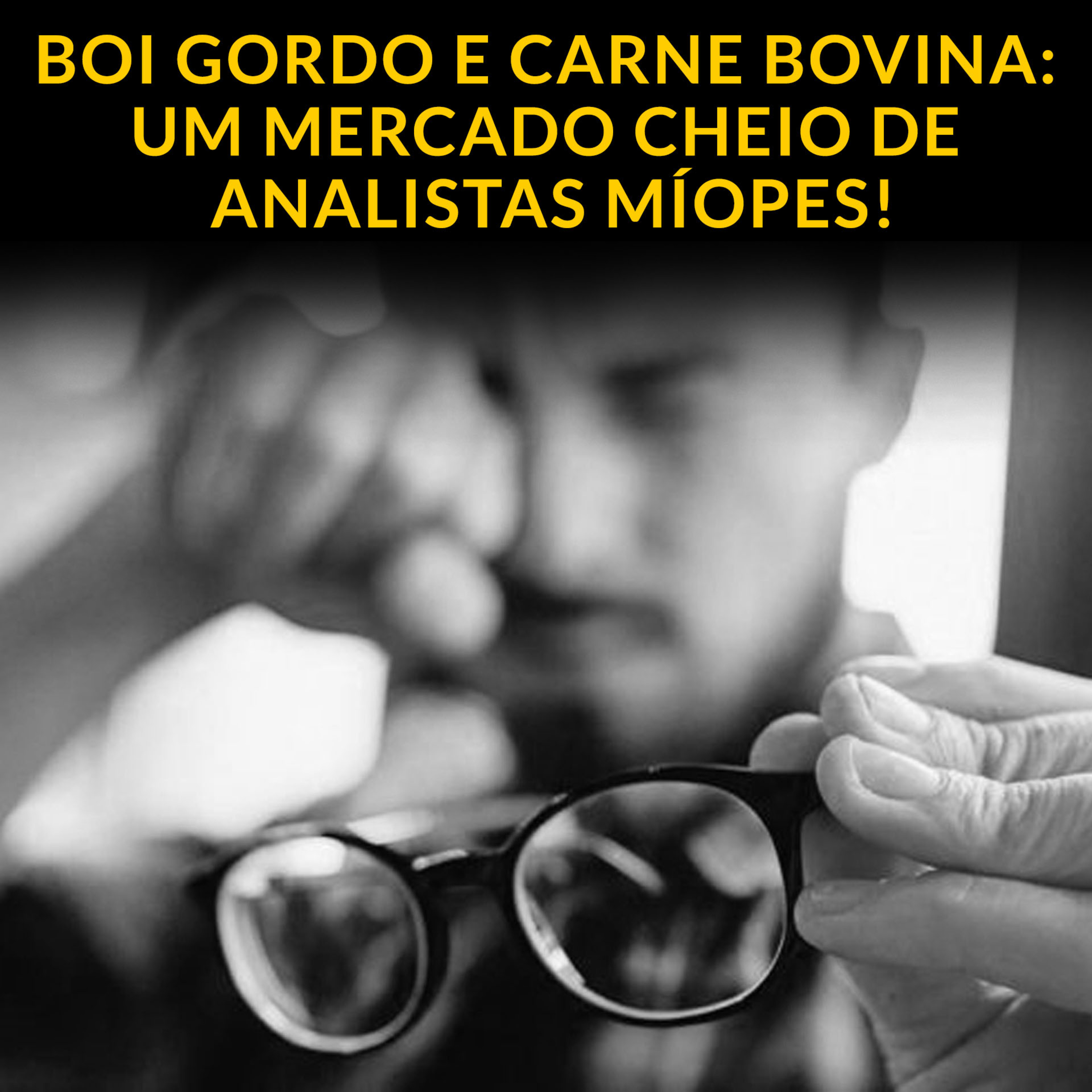 BOI GORDO E CARNE BOVINA: UM MERCADO CHEIO DE ANALISTAS MÍOPES!