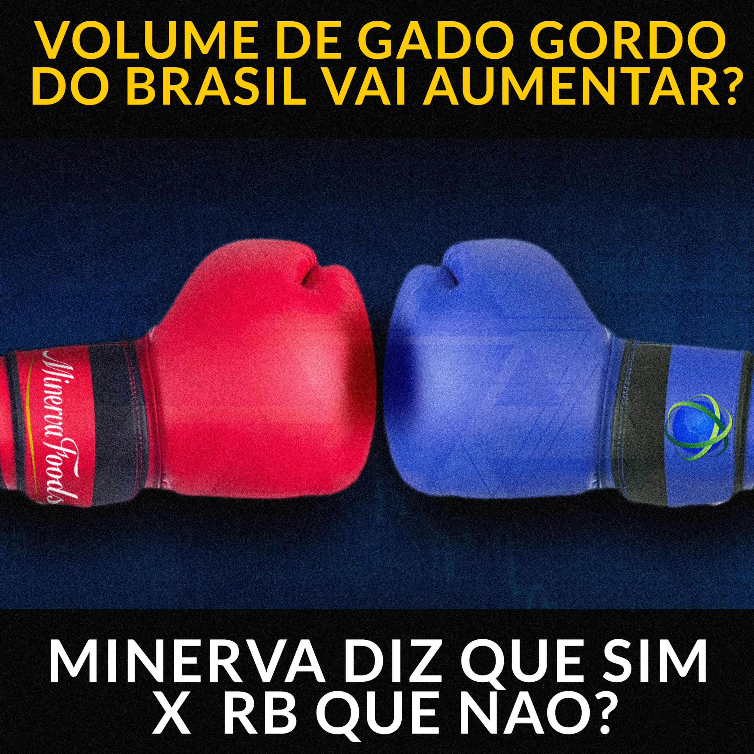 VOLUME DE GADO GORDO DO BRASIL VAI AUMENTAR? MINERVA DIZ QUE SIM X RB QUE NÃO? episode artwork