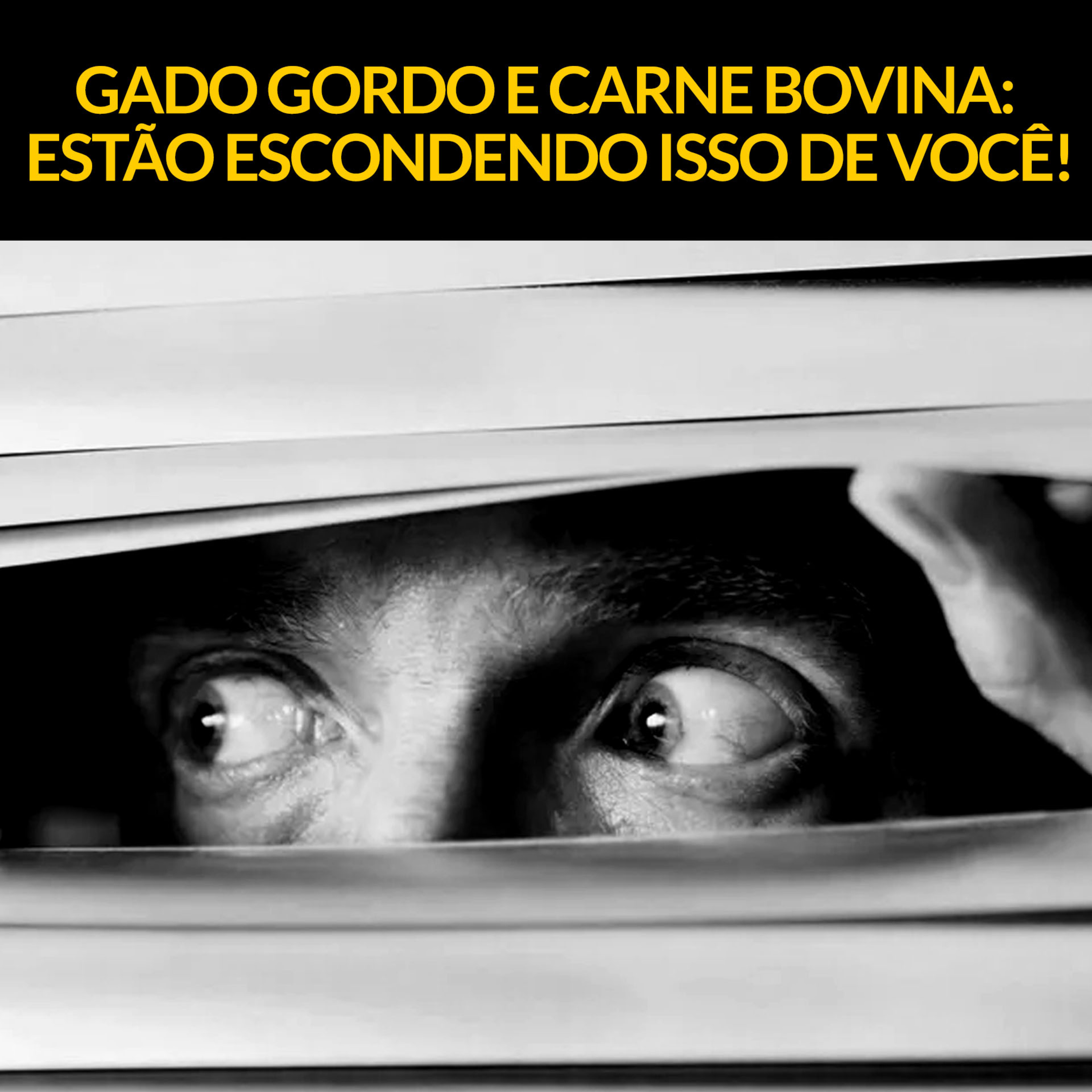GADO GORDO E CARNE BOVINA: ESTÃO ESCONDENDO ISSO DE VOCÊ!