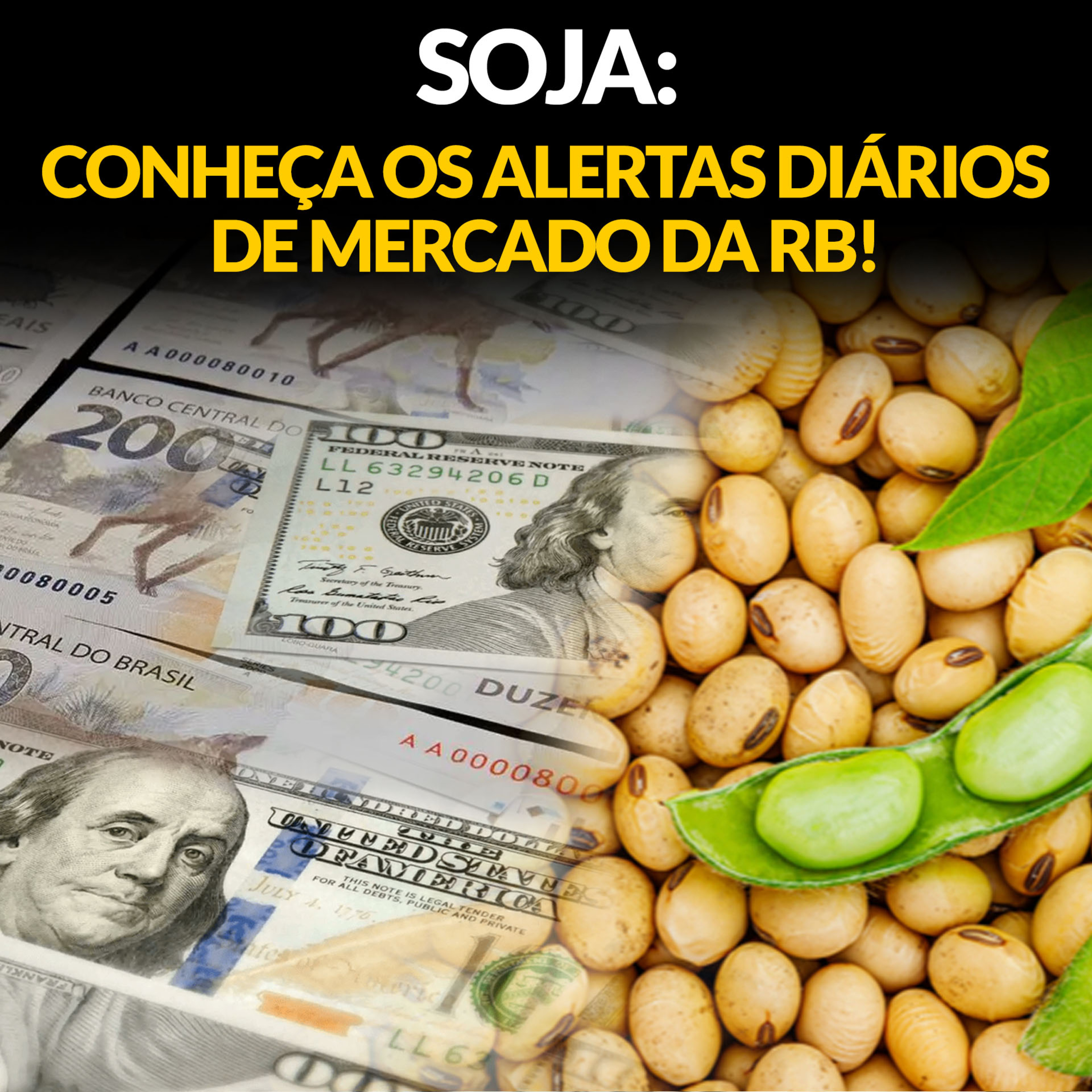 VEJA DIARIAMENTE TODOS OS ALERTAS DA RB EXCLUSIVOS PARA ASSINANTES. ASSINE A PARTIR DE R$ 9,90/MÊS!