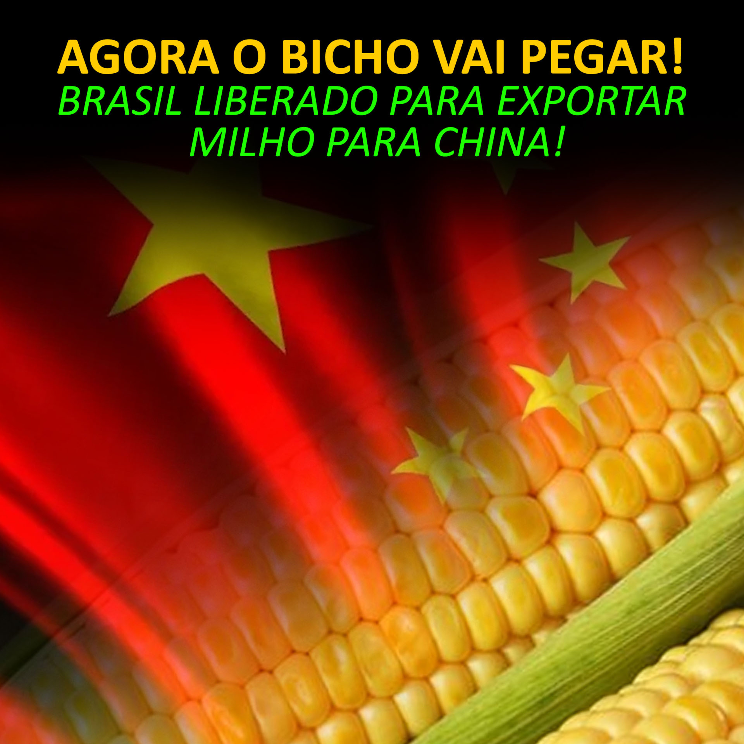 AGORA O BICHO VAI PEGAR! BRASIL LIBERADO PARA EXPORTAR MILHO PARA CHINA! episode artwork