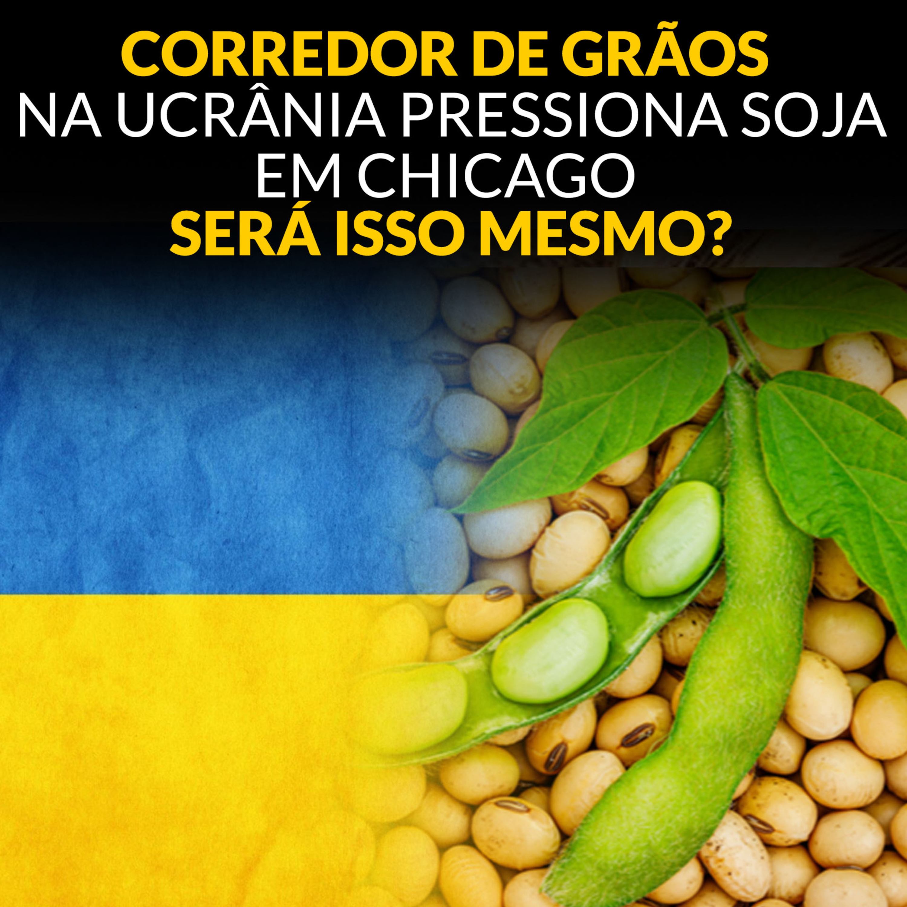 CORREDOR DE GRÃOS NA UCRÂNIA PRESSIONA SOJA EM CHICAGO. SERÁ ISSO MESMO? episode artwork