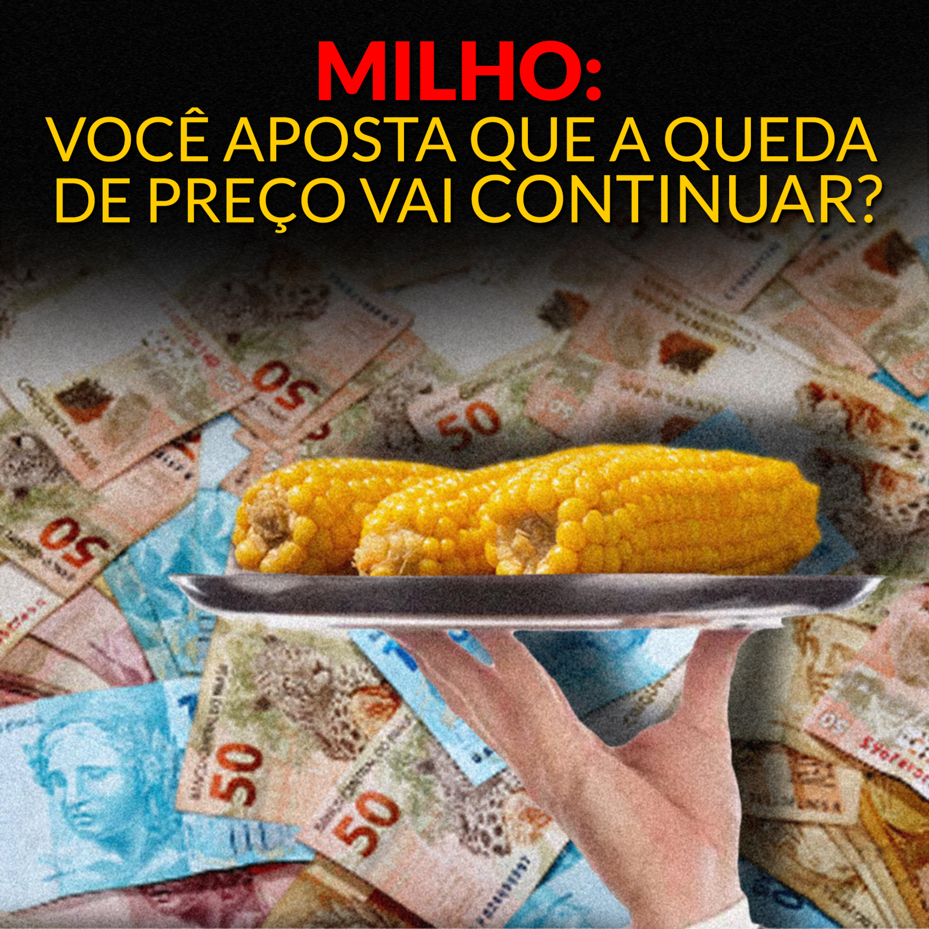 MILHO: VOCÊ APOSTA QUE A QUEDA DE PREÇO VAI CONTINUAR? episode artwork