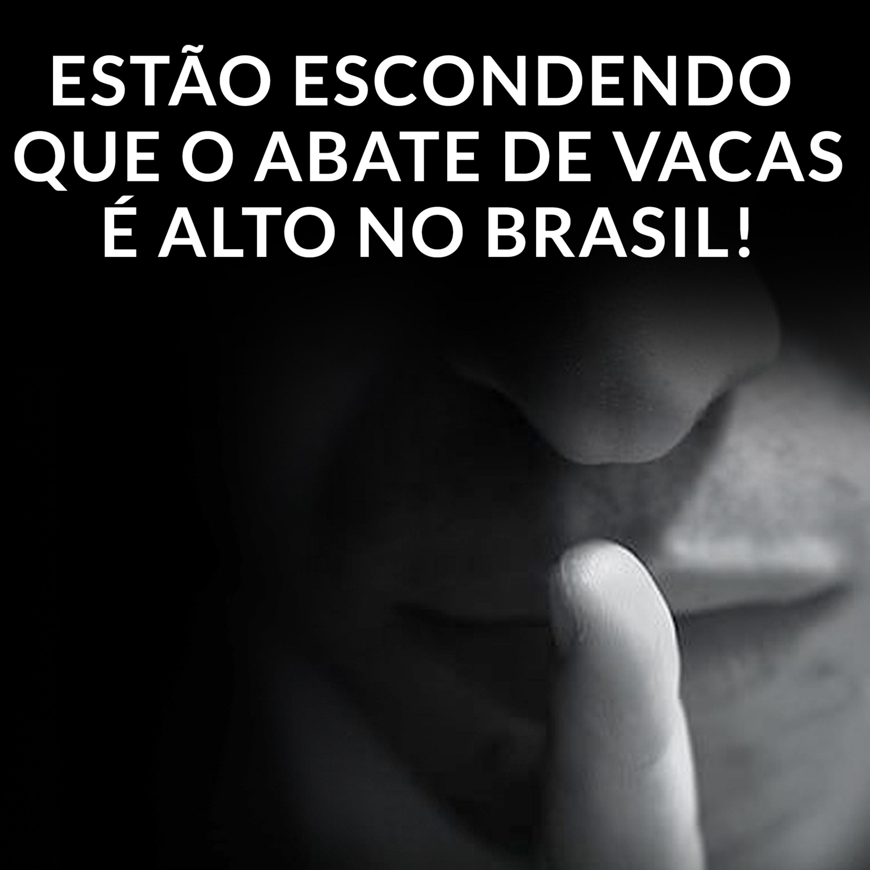 ESTÃO ESCONDENDO QUE O ABATE DE VACAS É ALTO NO BRASIL! episode artwork