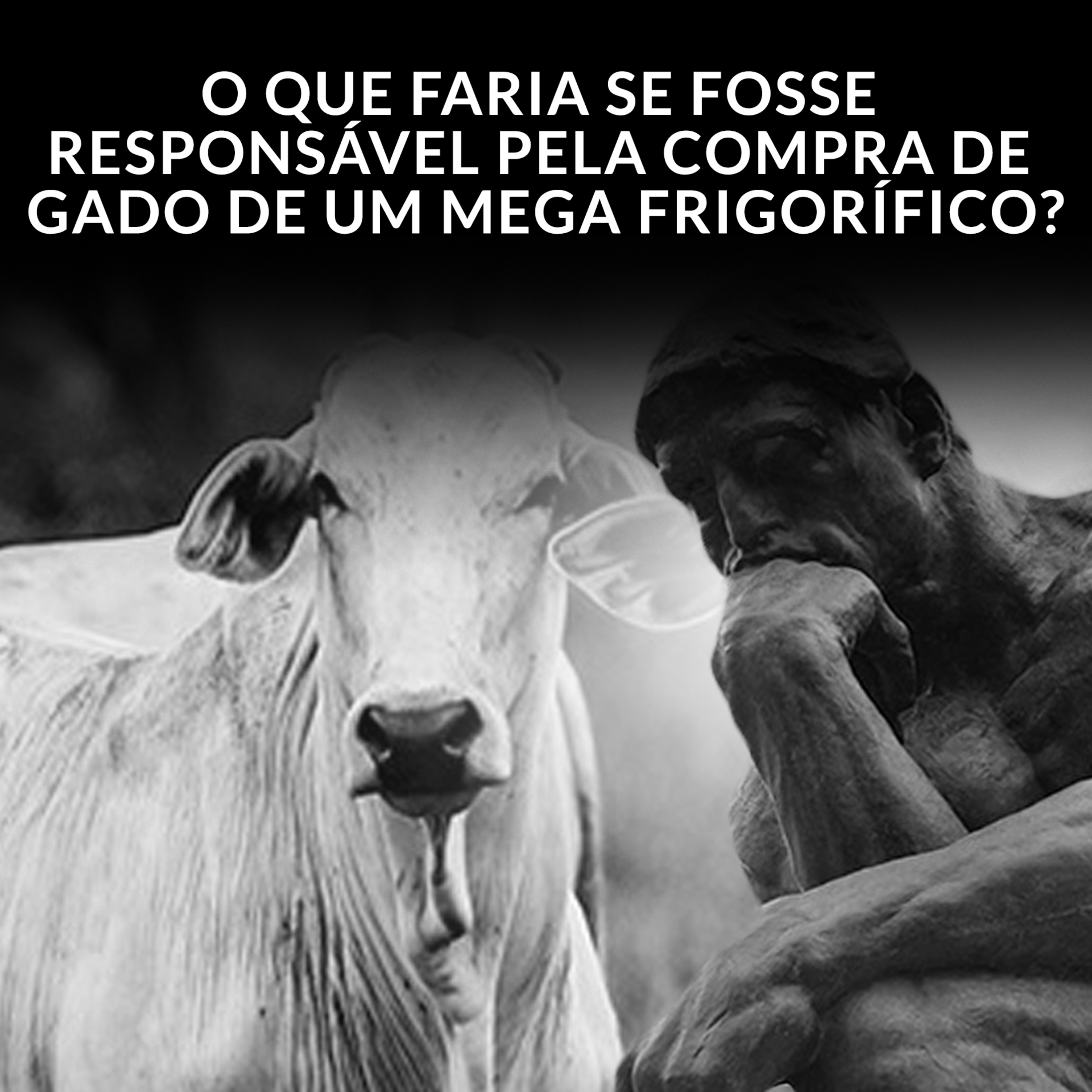 O QUE FARIA SE FOSSE RESPONSÁVEL PELA COMPRA DE GADO DE UM MEGA FRIGORÍFICO? episode artwork