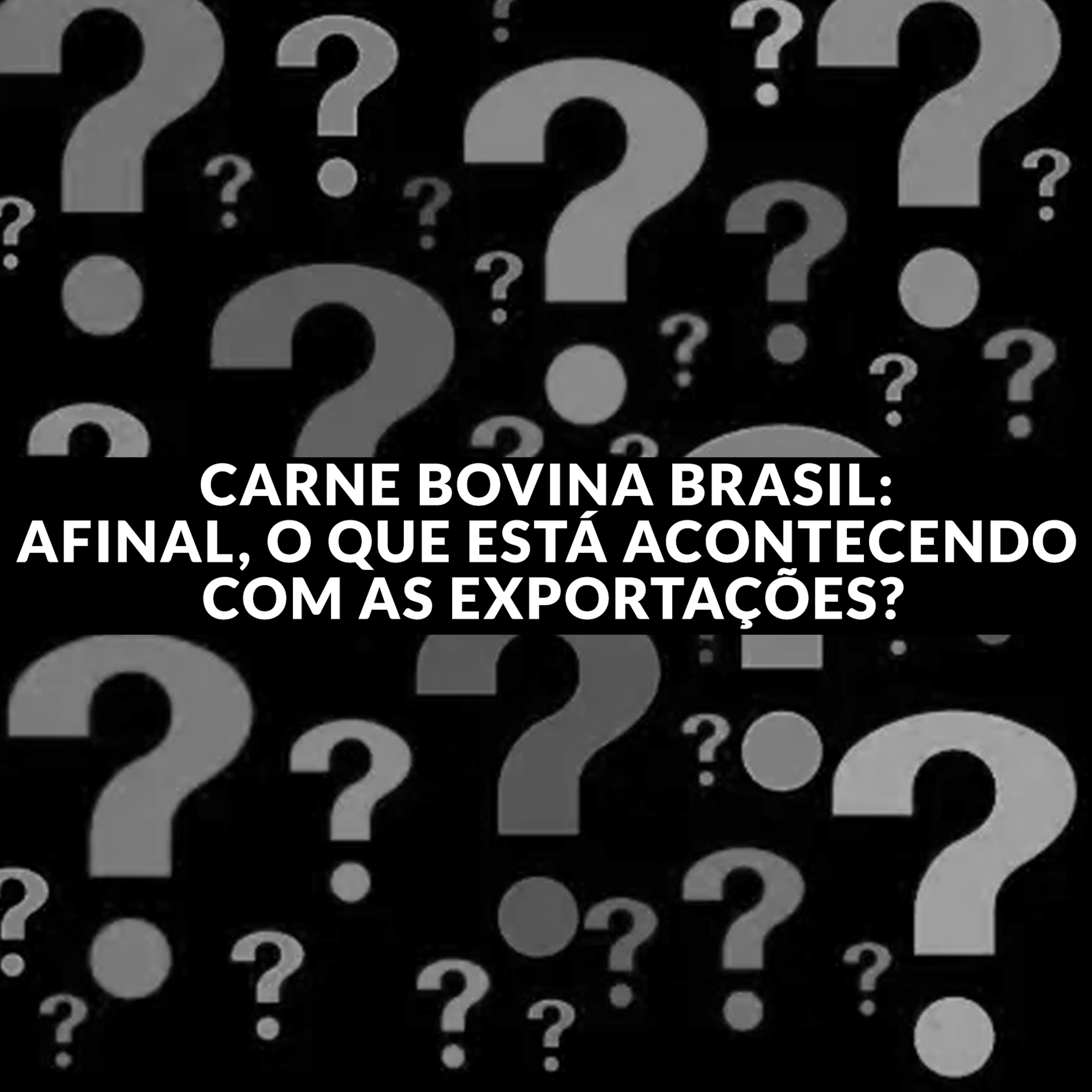 CARNE BOVINA BRASIL: AFINAL, O QUE ESTÁ ACONTECENDO COM AS EXPORTAÇÕES? episode artwork