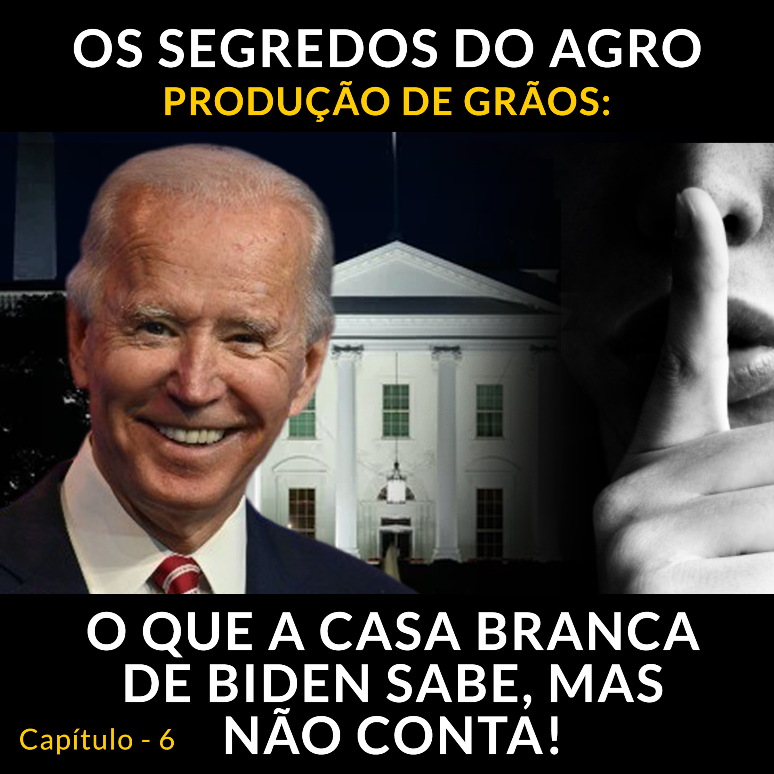 OS SEGREDOS DO AGRO CAPÍTULO 6 - PRODUÇÃO DE GRÃOS O QUE A CASA BRANCA DE BIDEN SABE MAS, NÃO CONTA!