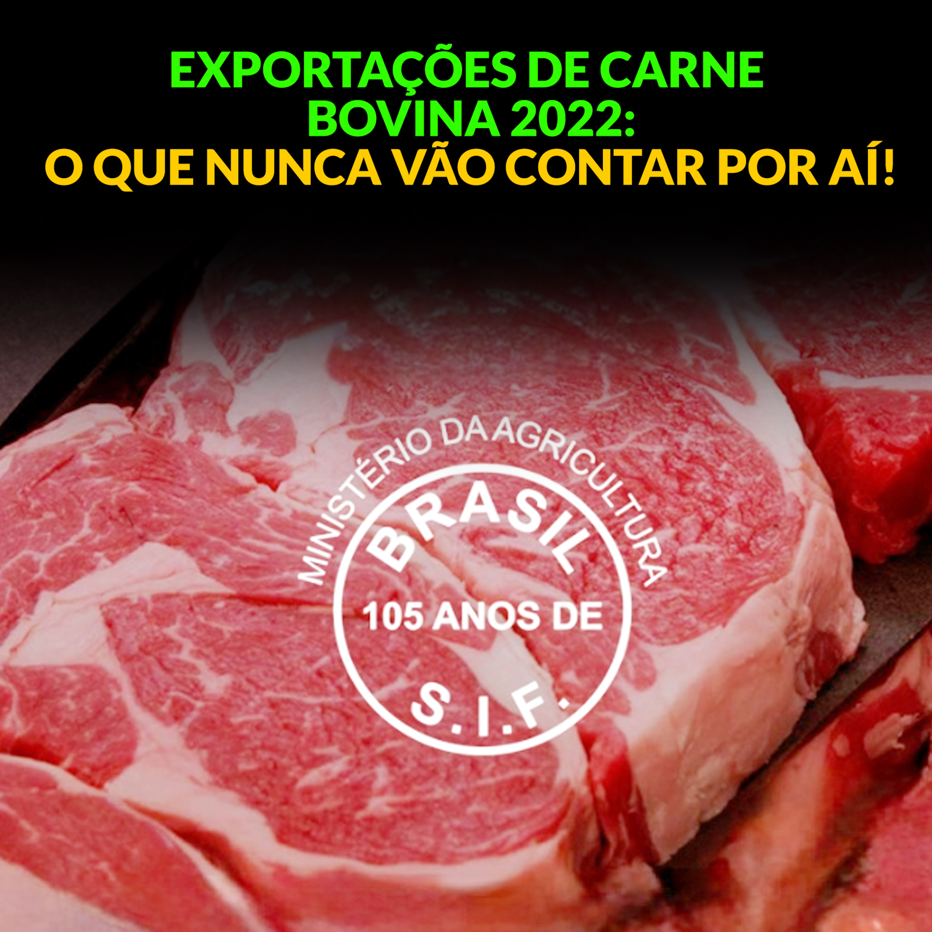EXPORTAÇÕES DE CARNE BOVINA 2022: O QUE NUNCA VÃO CONTAR POR AÍ! episode artwork