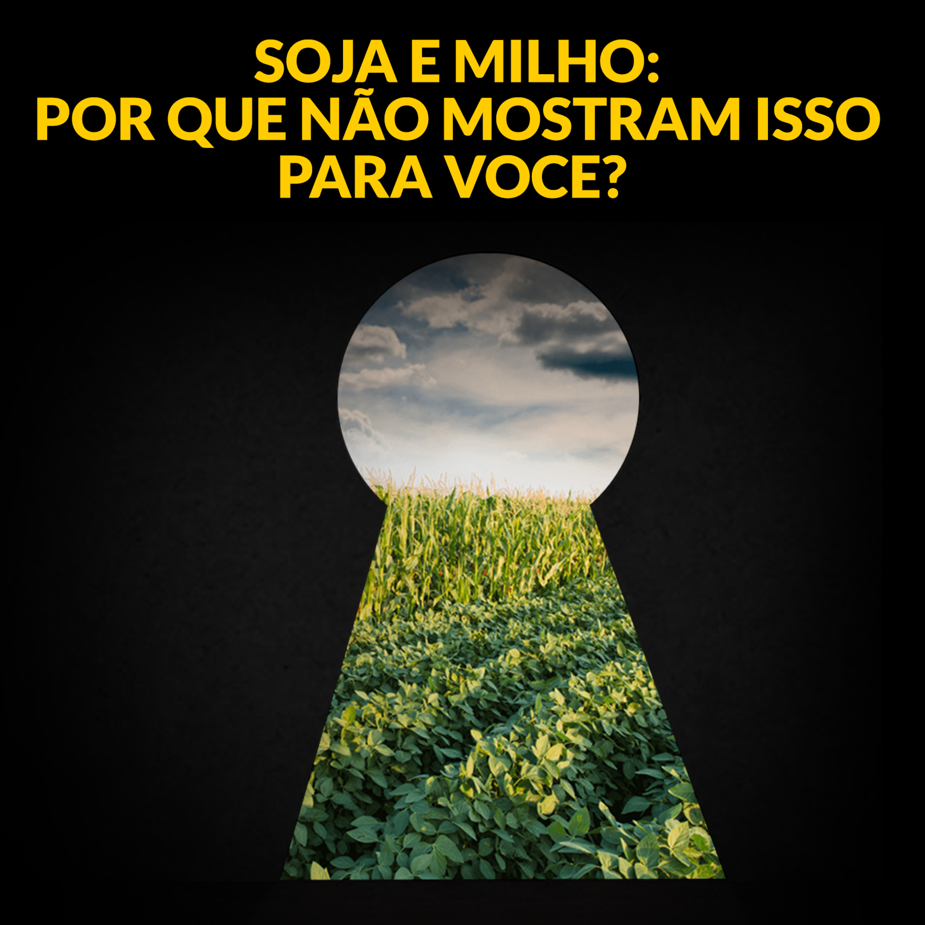 SOJA E MILHO: POR QUE NÃO MOSTRAM ISSO PARA VOCE?
