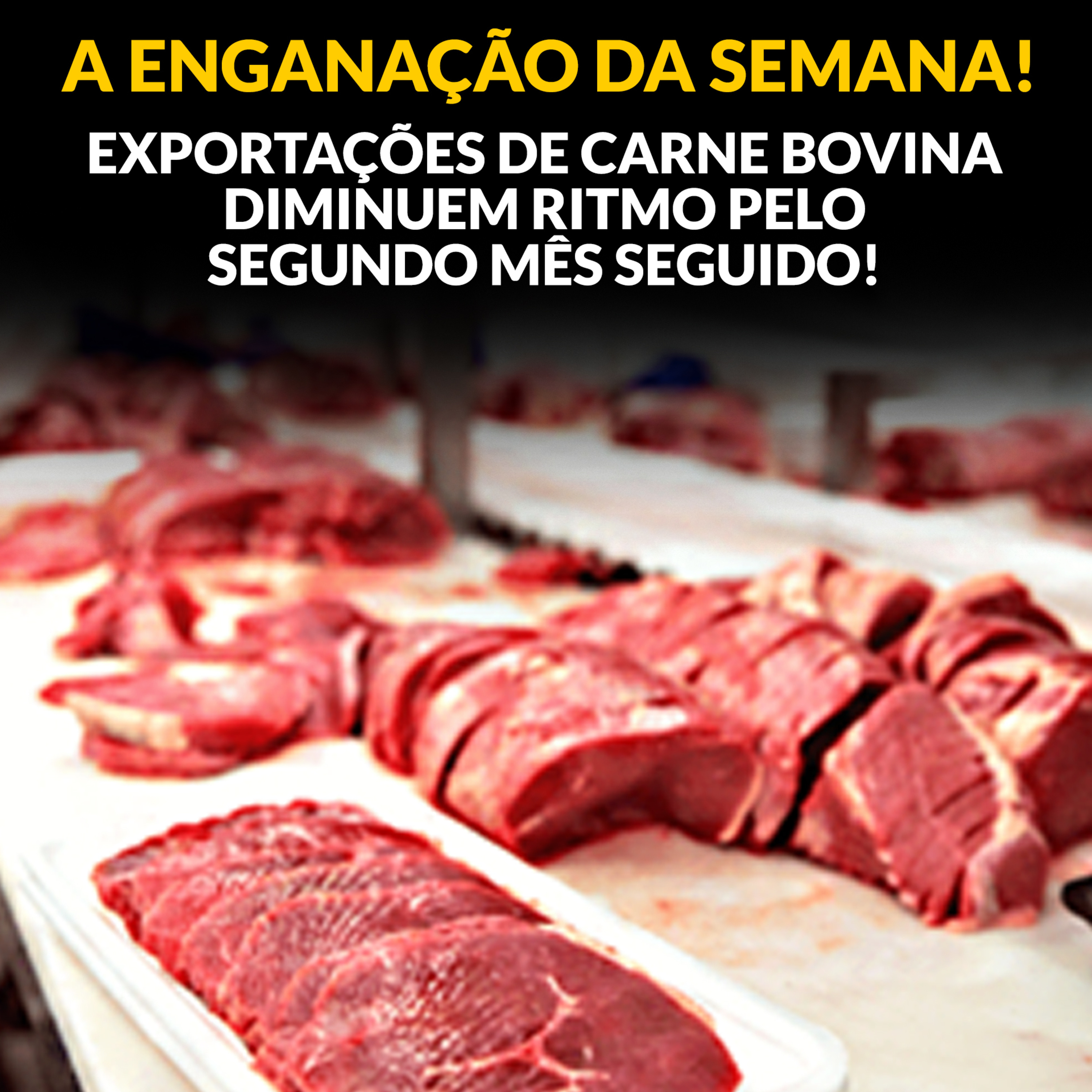 A ENGANAÇÃO DA SEMANA! EXPORTAÇÕES DE CARNE BOVINA DIMINUEM RITMO PELO SEGUNDO MÊS SEGUIDO! episode artwork