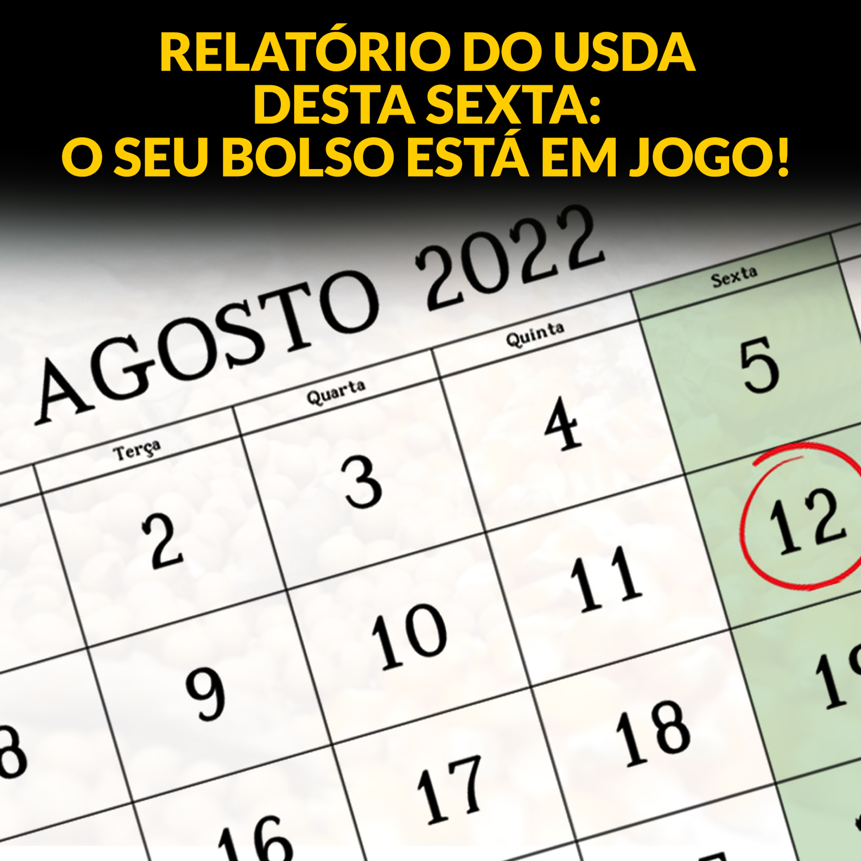RELATÓRIO DO USDA DESTA SEXTA: O SEU BOLSO ESTÁ EM JOGO! episode artwork