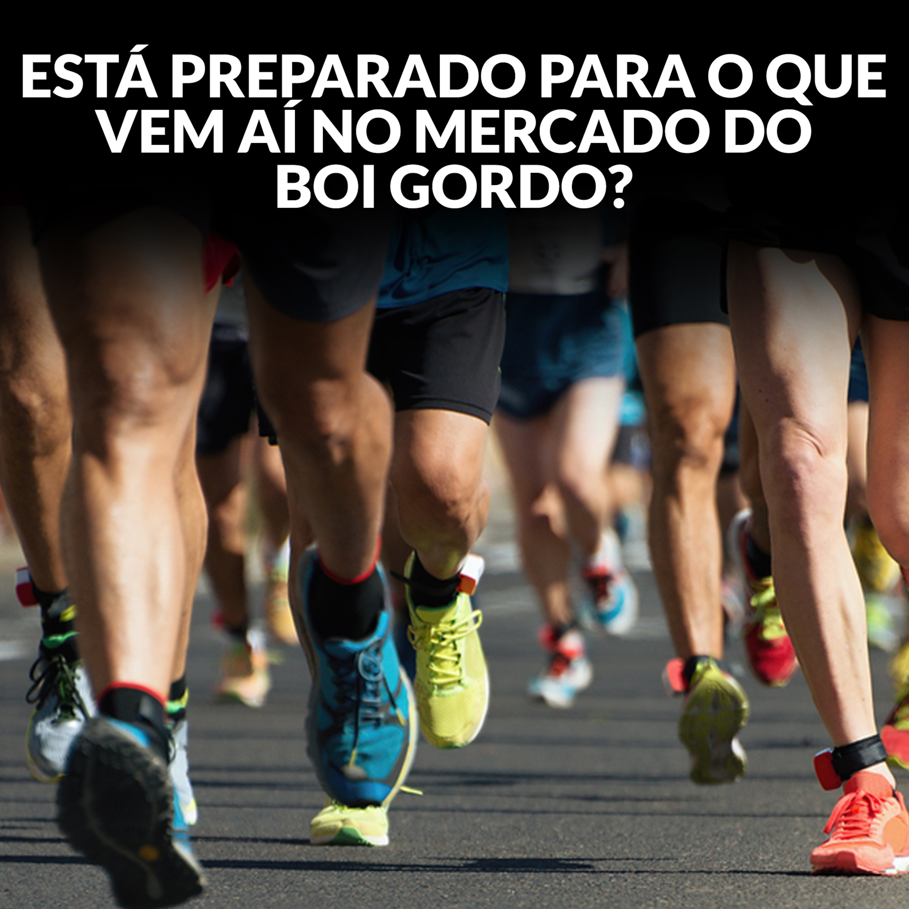 ESTÁ PREPARADO PARA O QUE VEM AÍ NO MERCADO DO BOI GORDO? episode artwork